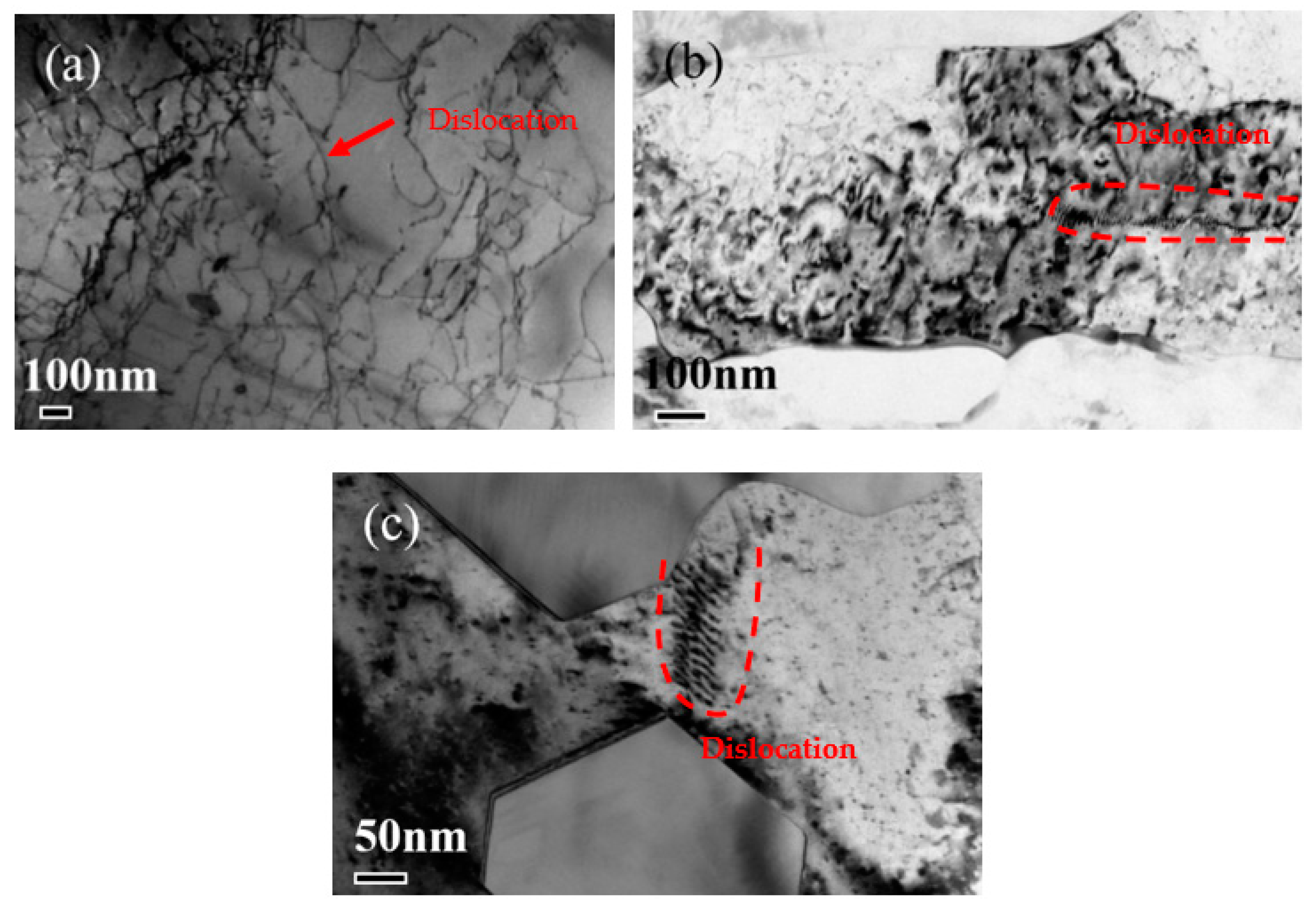 Coatings 13 01636 g007