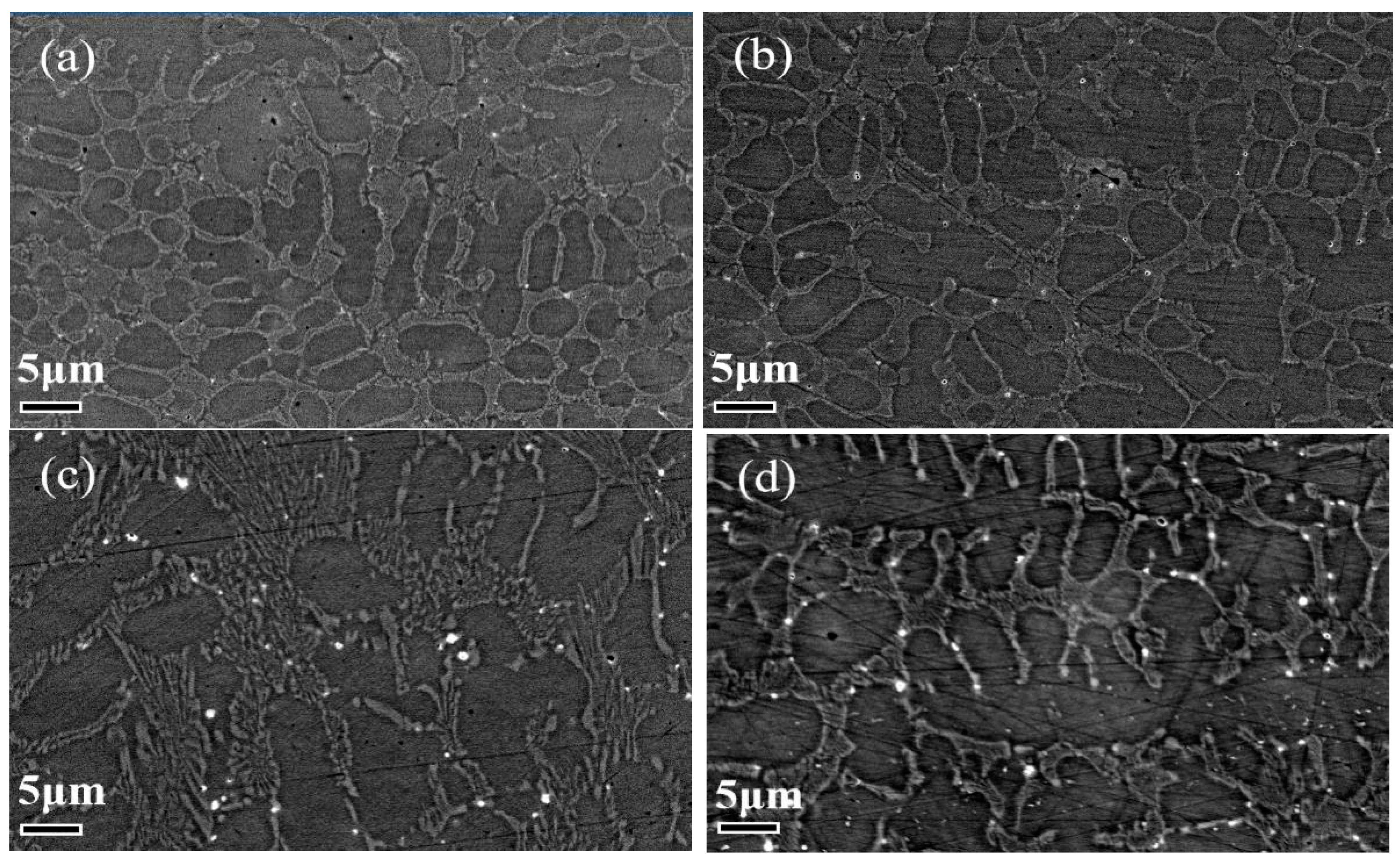 Coatings 13 01636 g008a