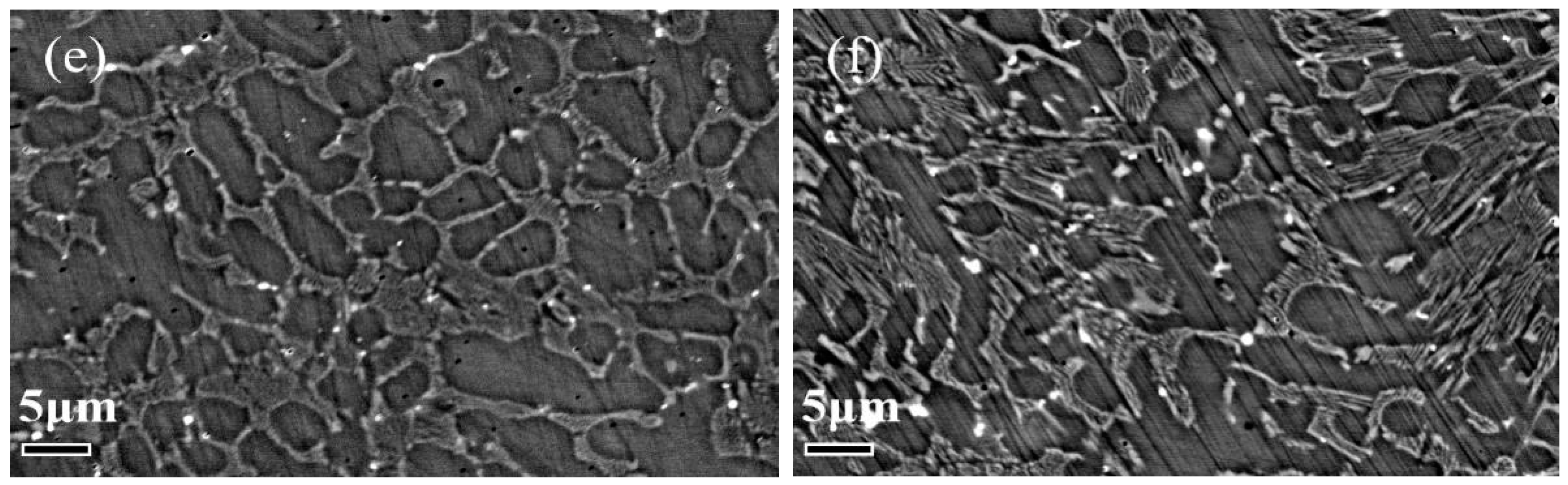 Coatings 13 01636 g008b