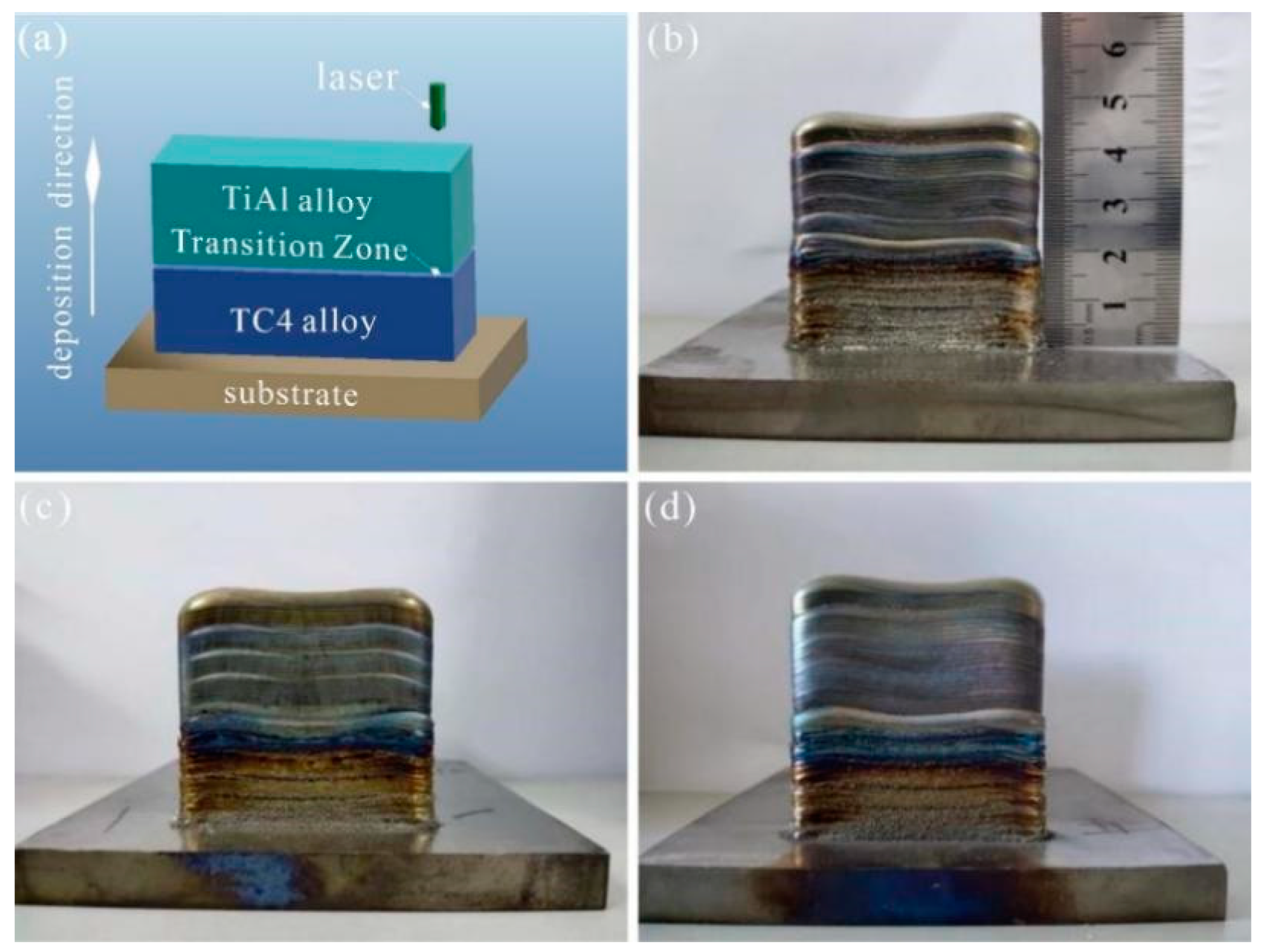 Coatings 13 01638 g002