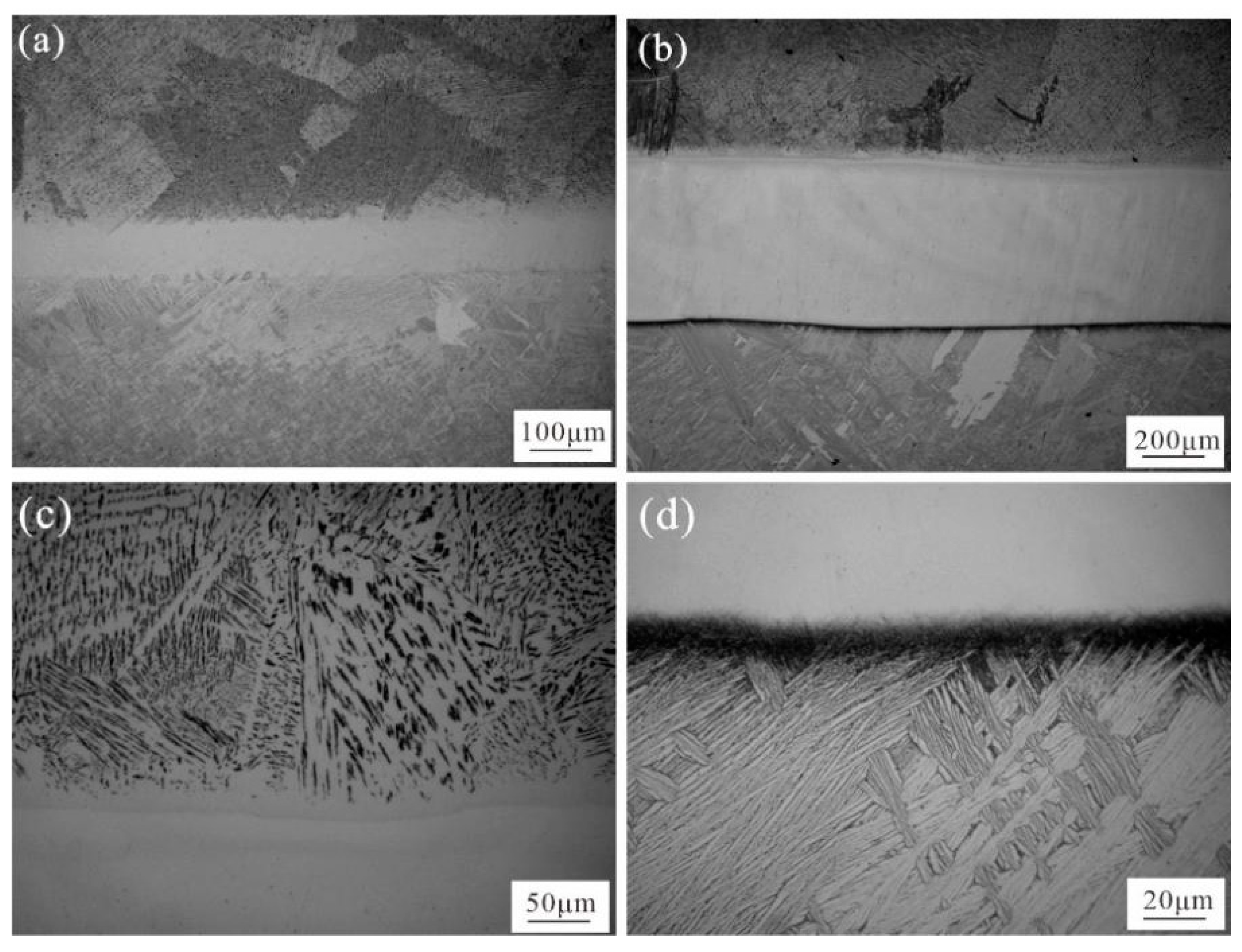 Coatings 13 01638 g003