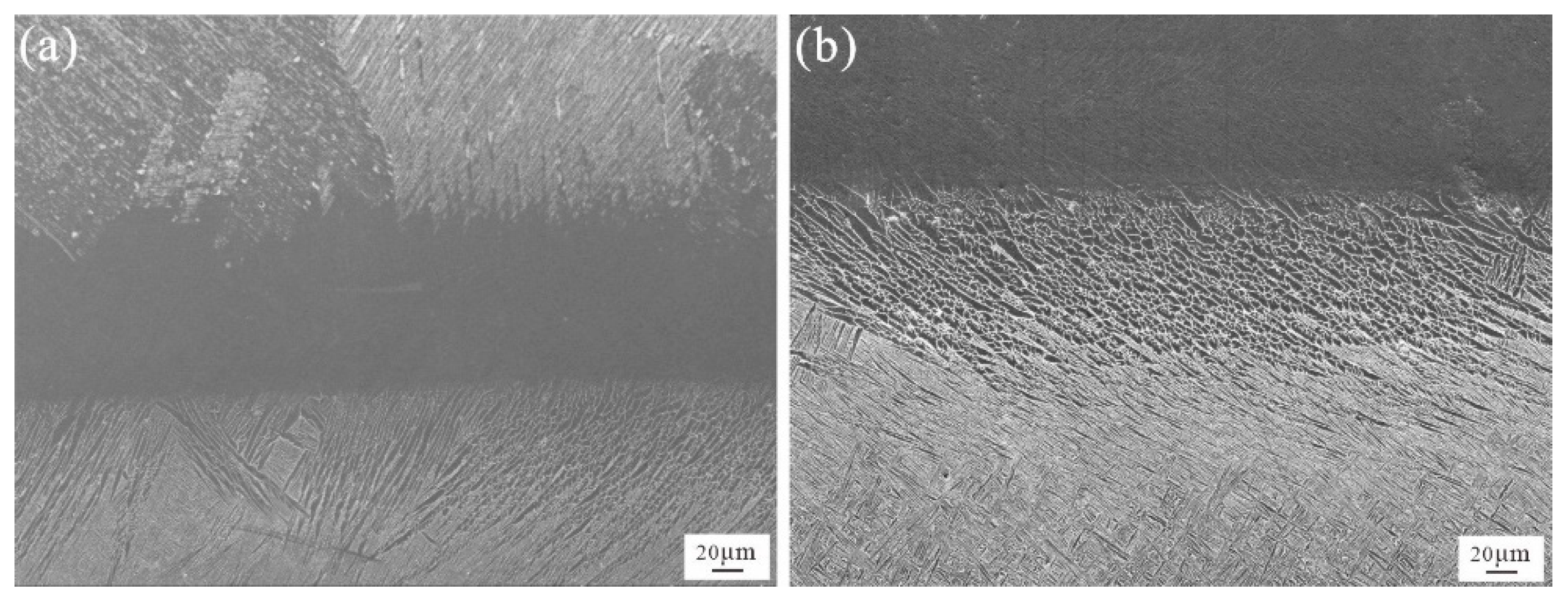 Coatings 13 01638 g004