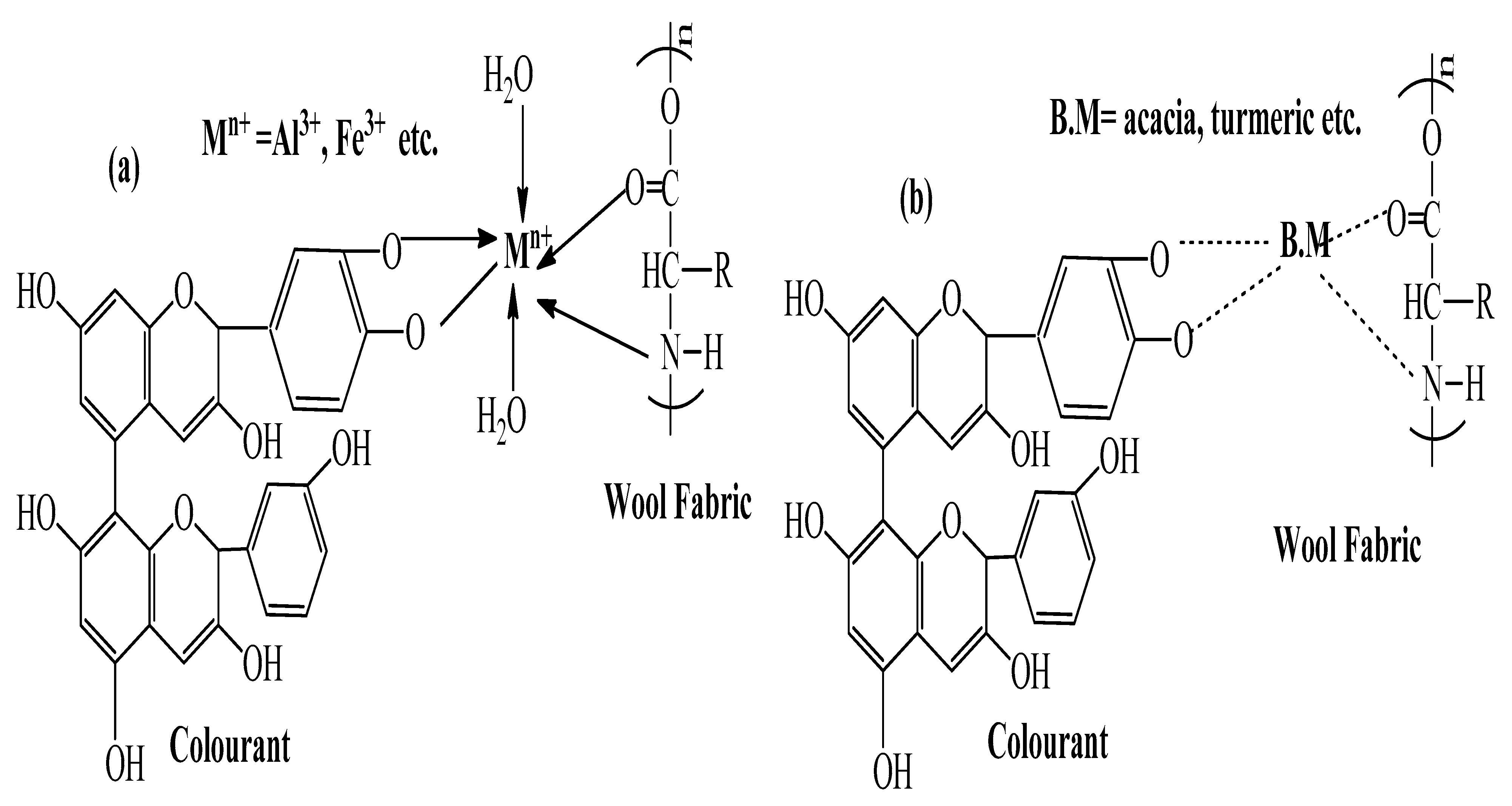 Coatings 13 01639 g003 Coatings 13 01639 g003