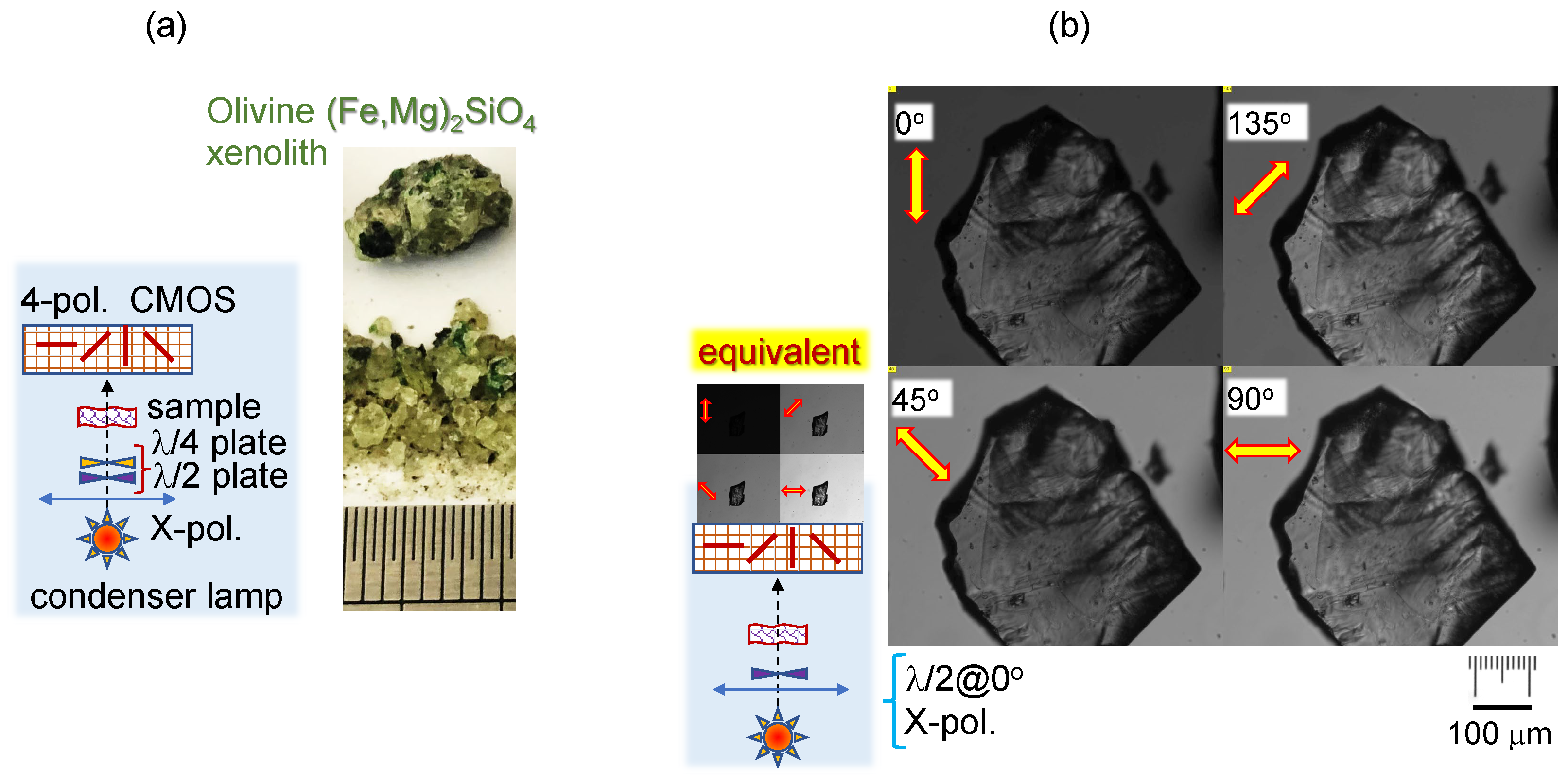 Coatings 13 01640 g001