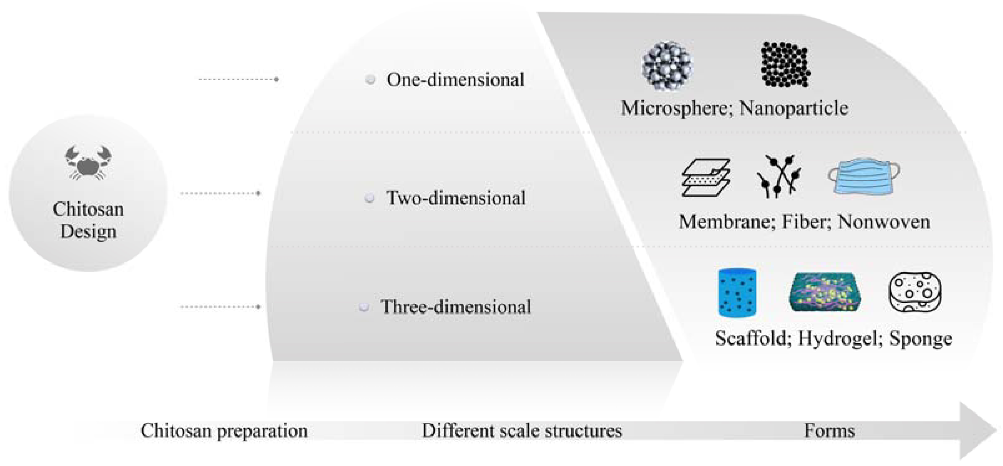 Coatings 13 01644 g002