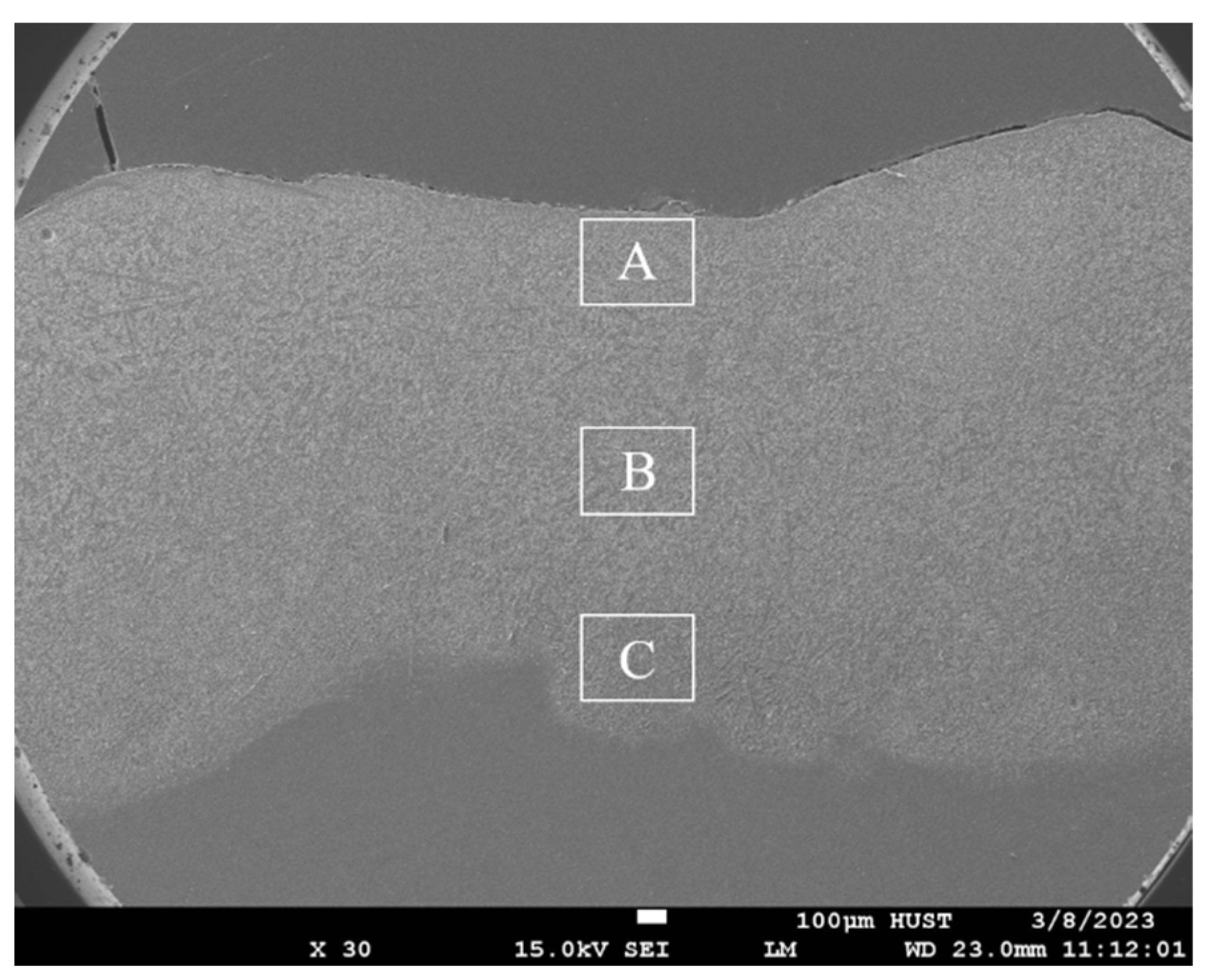 Coatings 13 01646 g003