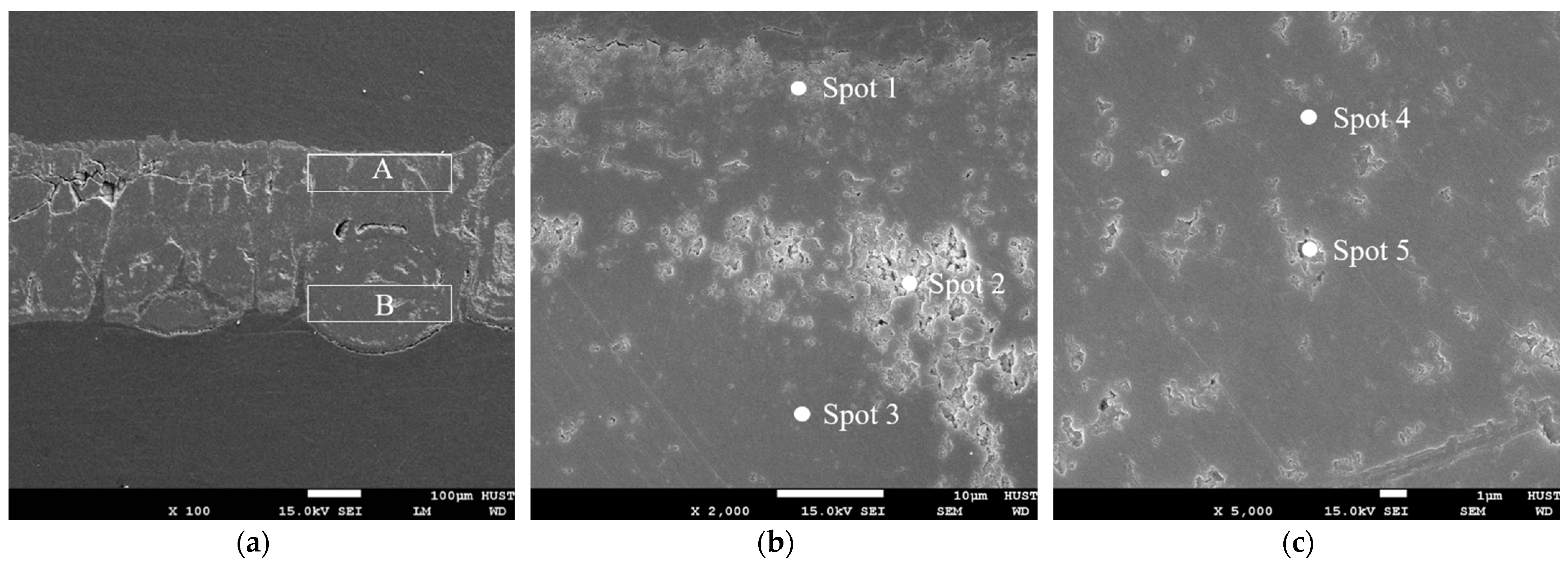 Coatings 13 01646 g011