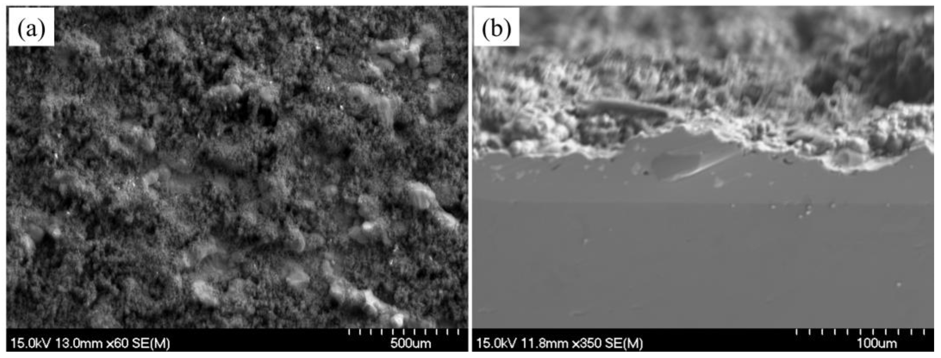 Coatings 13 01647 g006