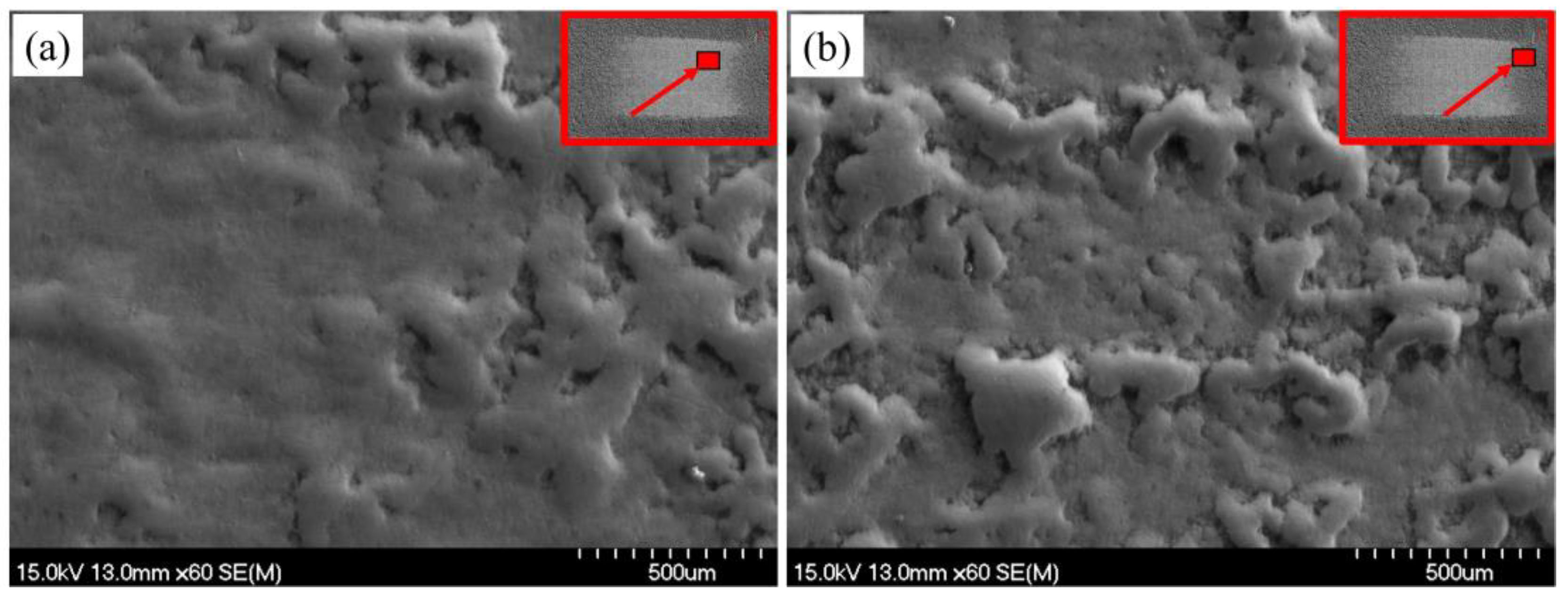 Coatings 13 01647 g011