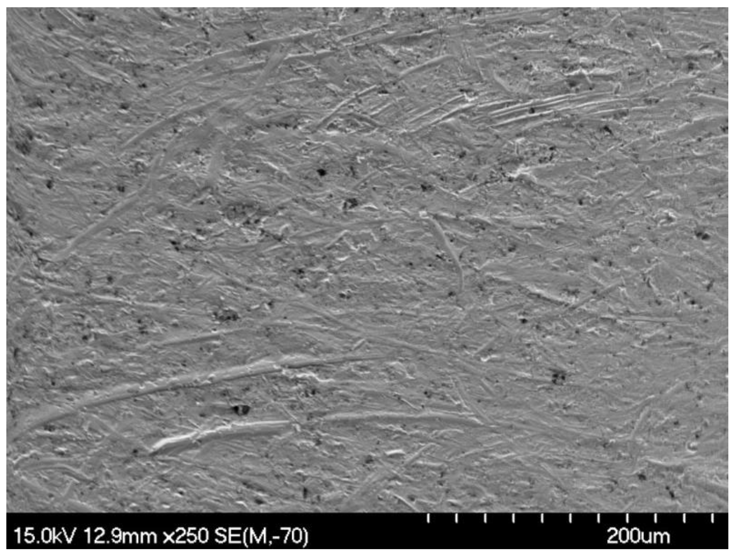 Coatings 13 01647 g016