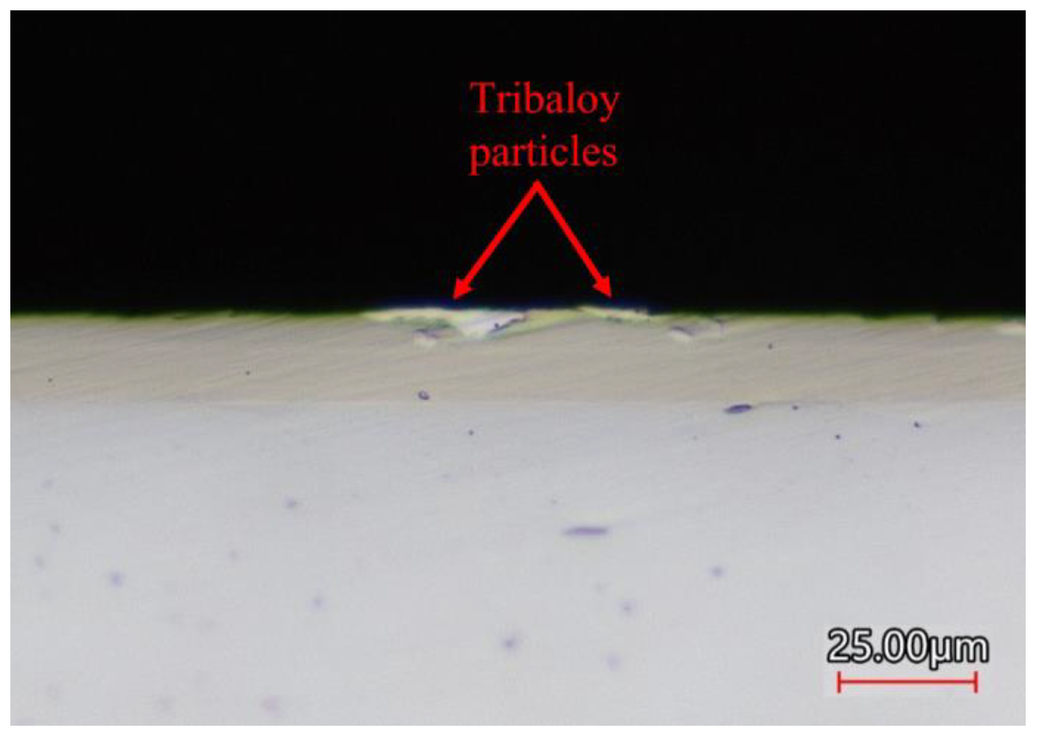 Coatings 13 01647 g017