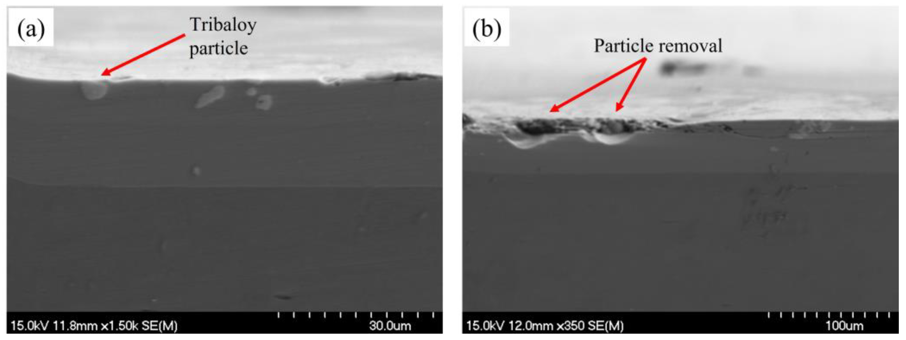 Coatings 13 01647 g019