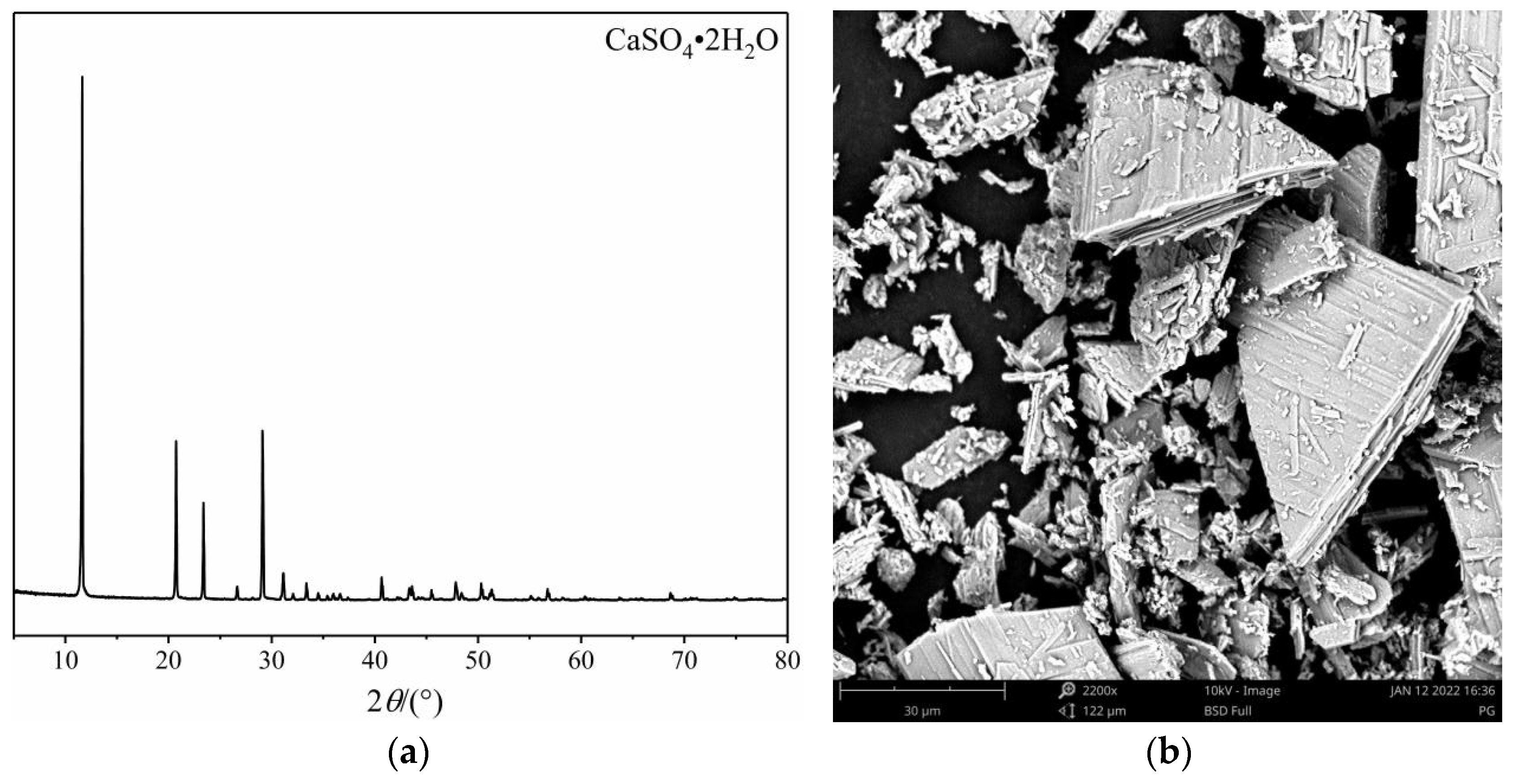 Coatings 13 01652 g001