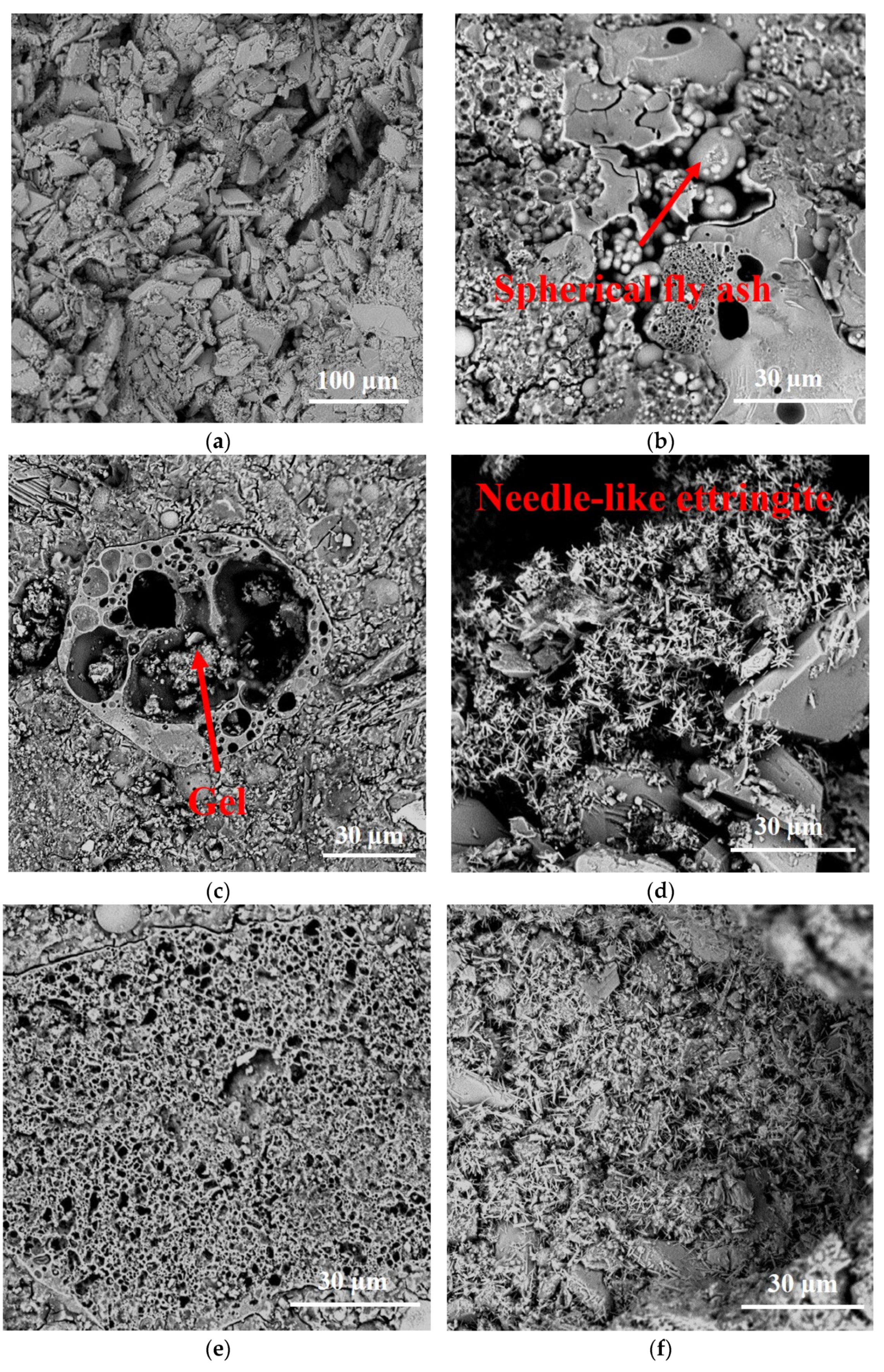 Coatings 13 01652 g012a