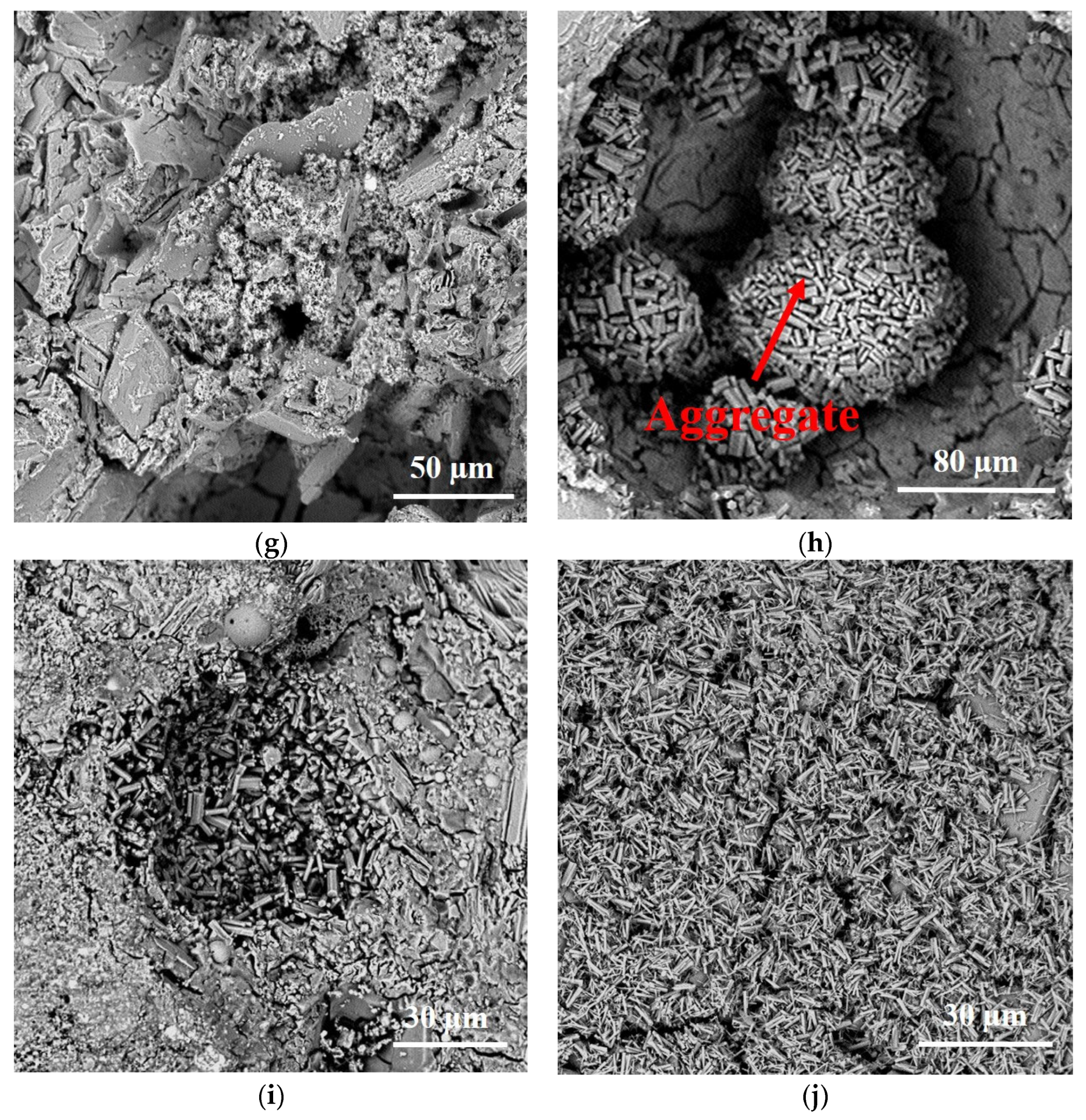 Coatings 13 01652 g012b