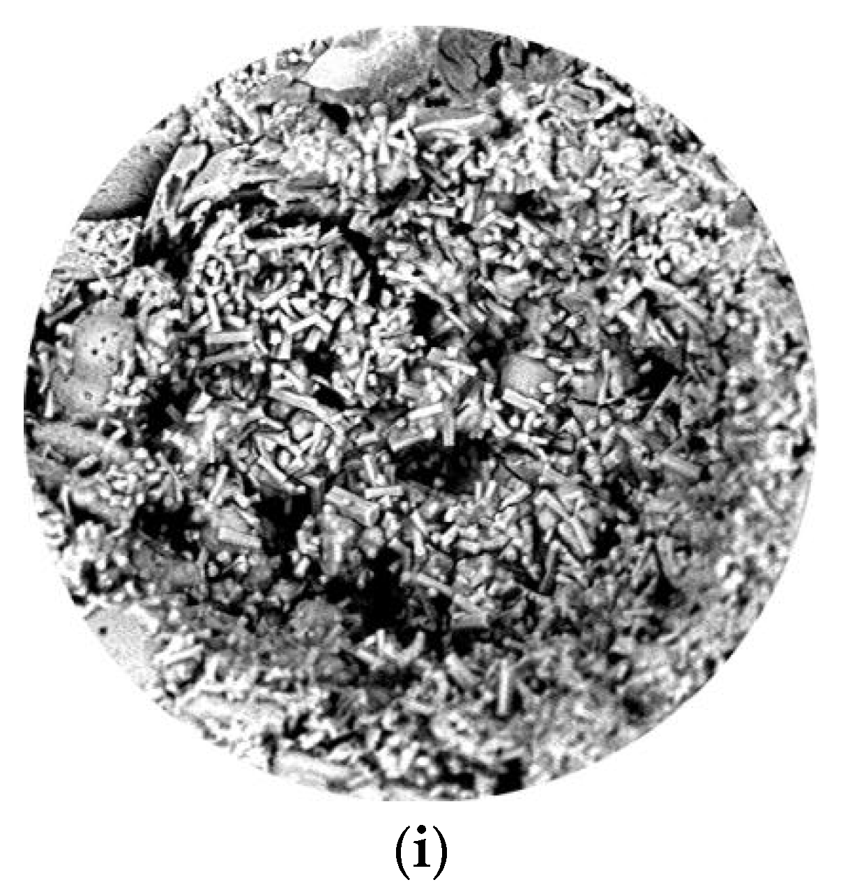 Coatings 13 01652 g013b