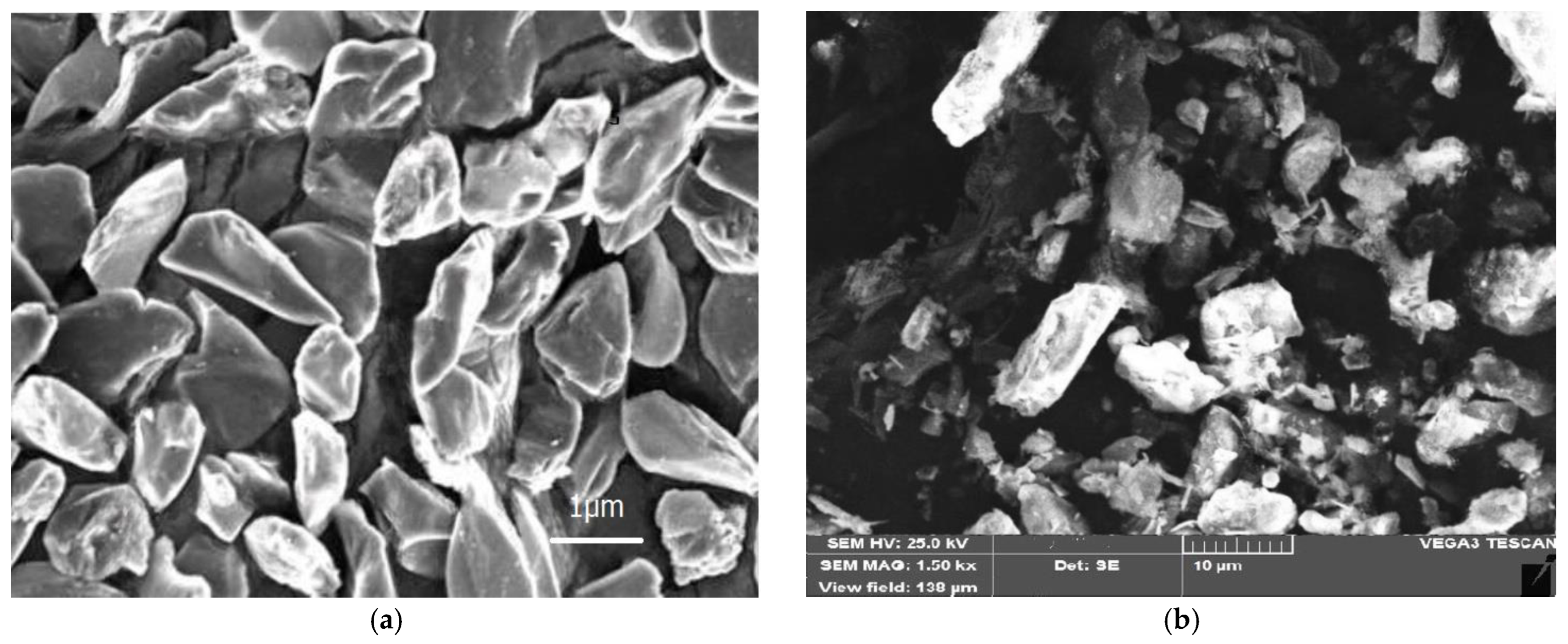 Coatings 13 01653 g001