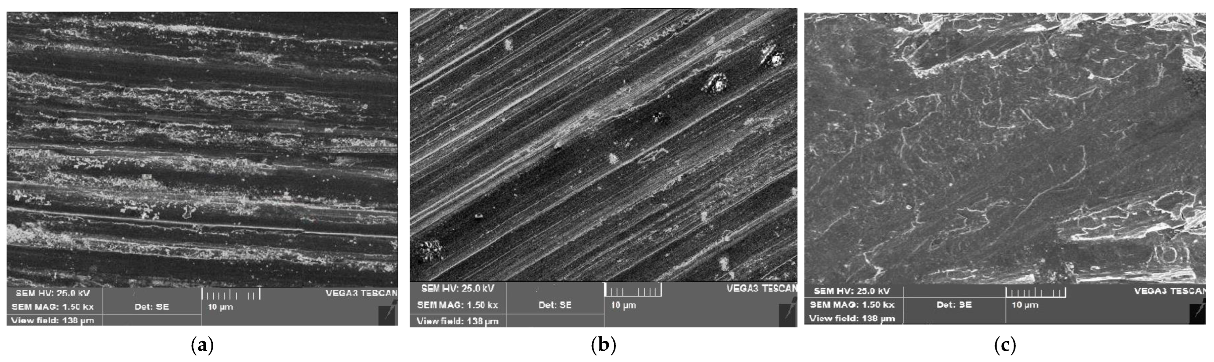 Coatings 13 01653 g007