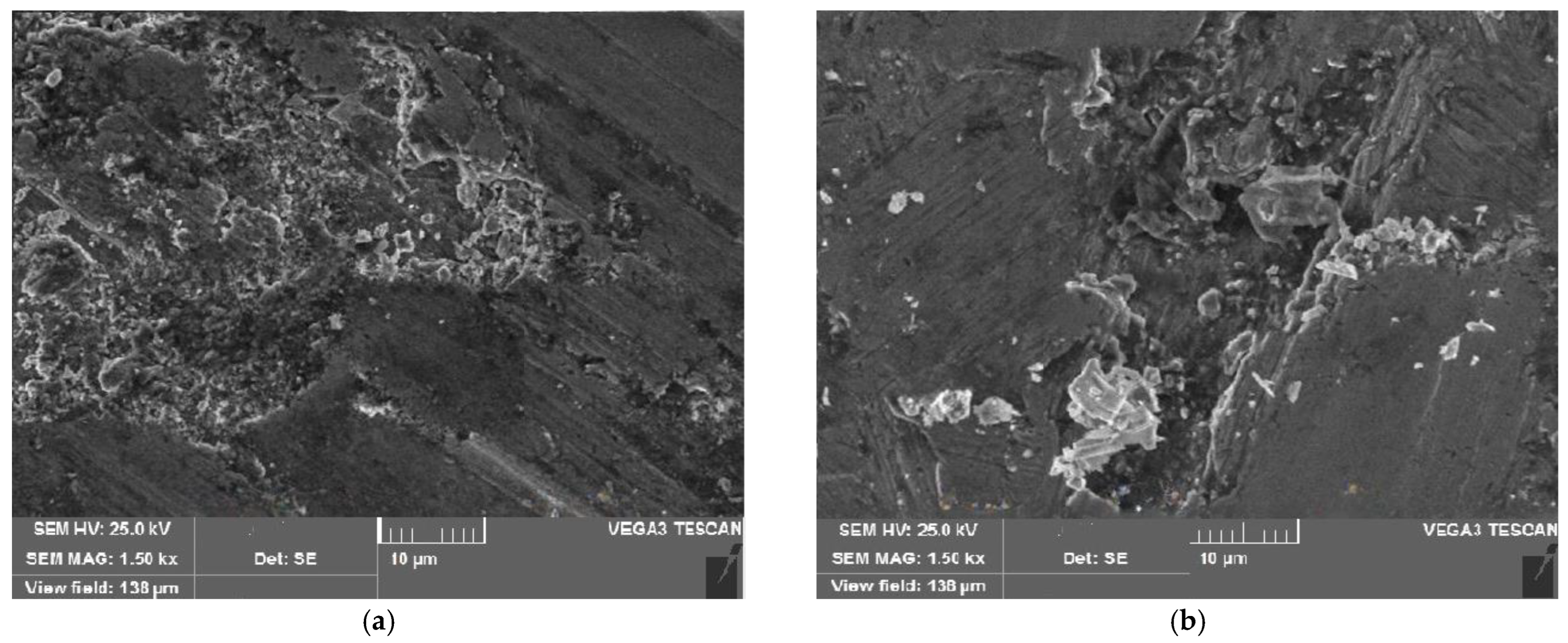 Coatings 13 01653 g009