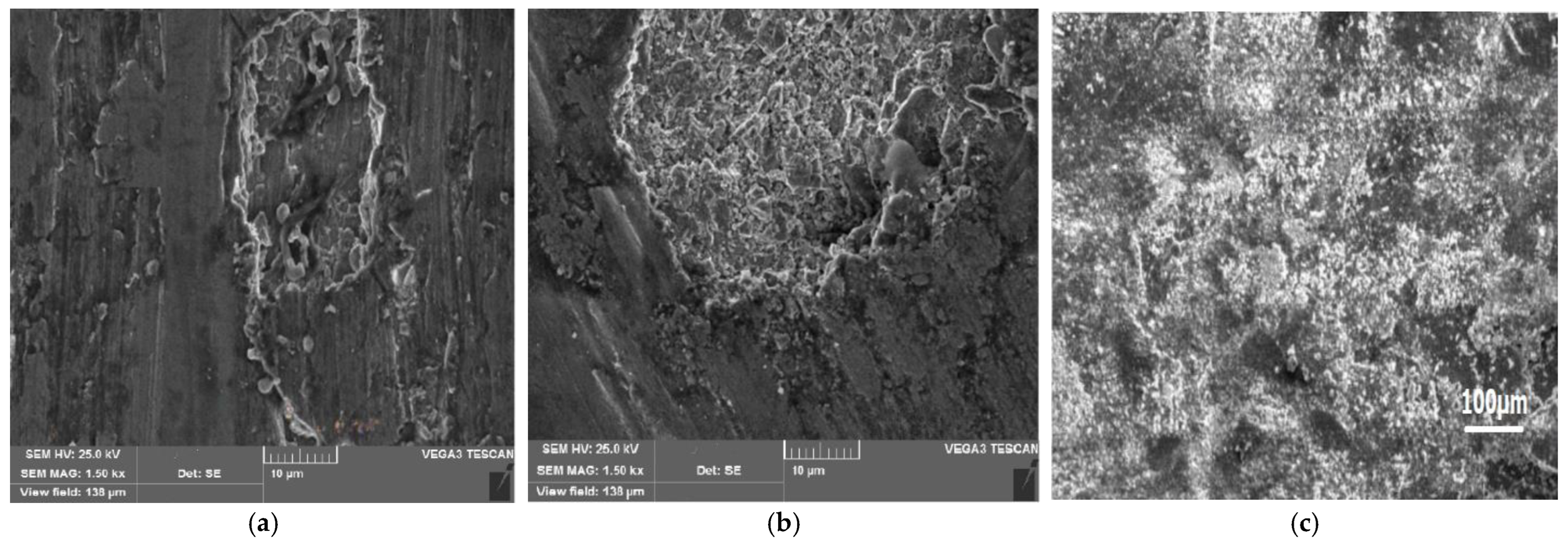 Coatings 13 01653 g011