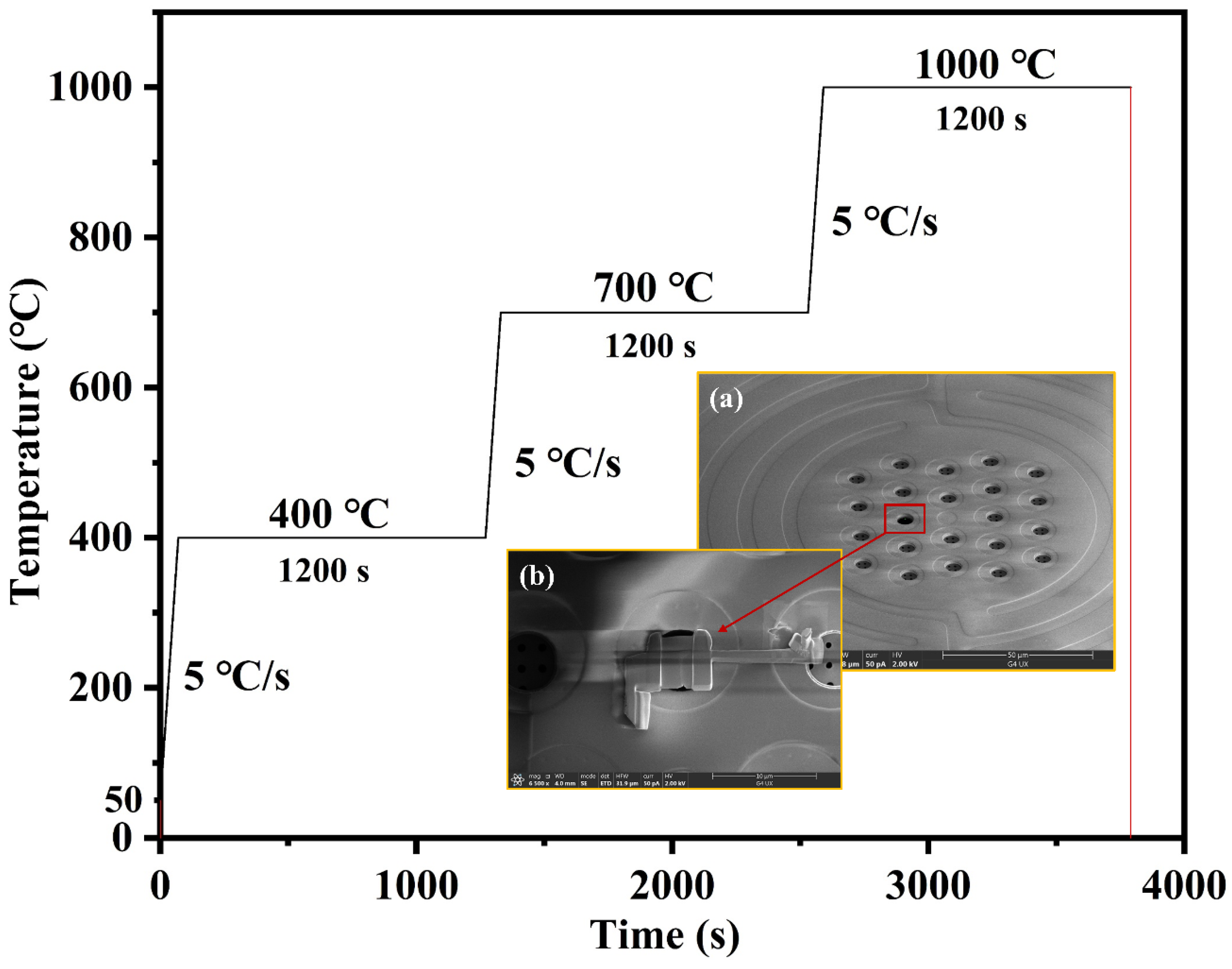 Coatings 13 01655 g002