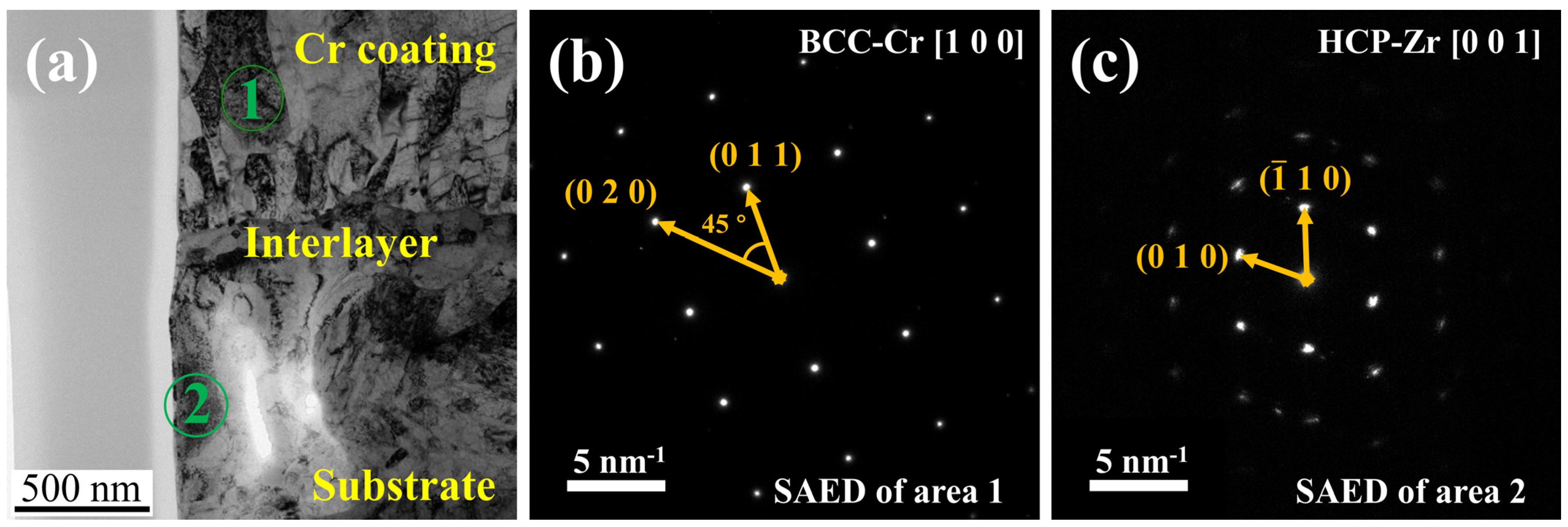Coatings 13 01655 g003