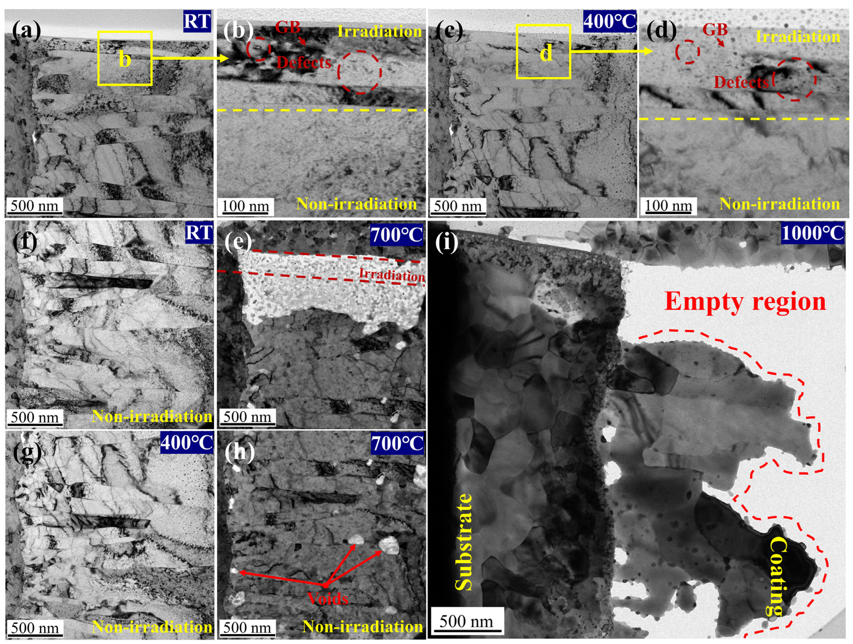 Coatings 13 01655 g005