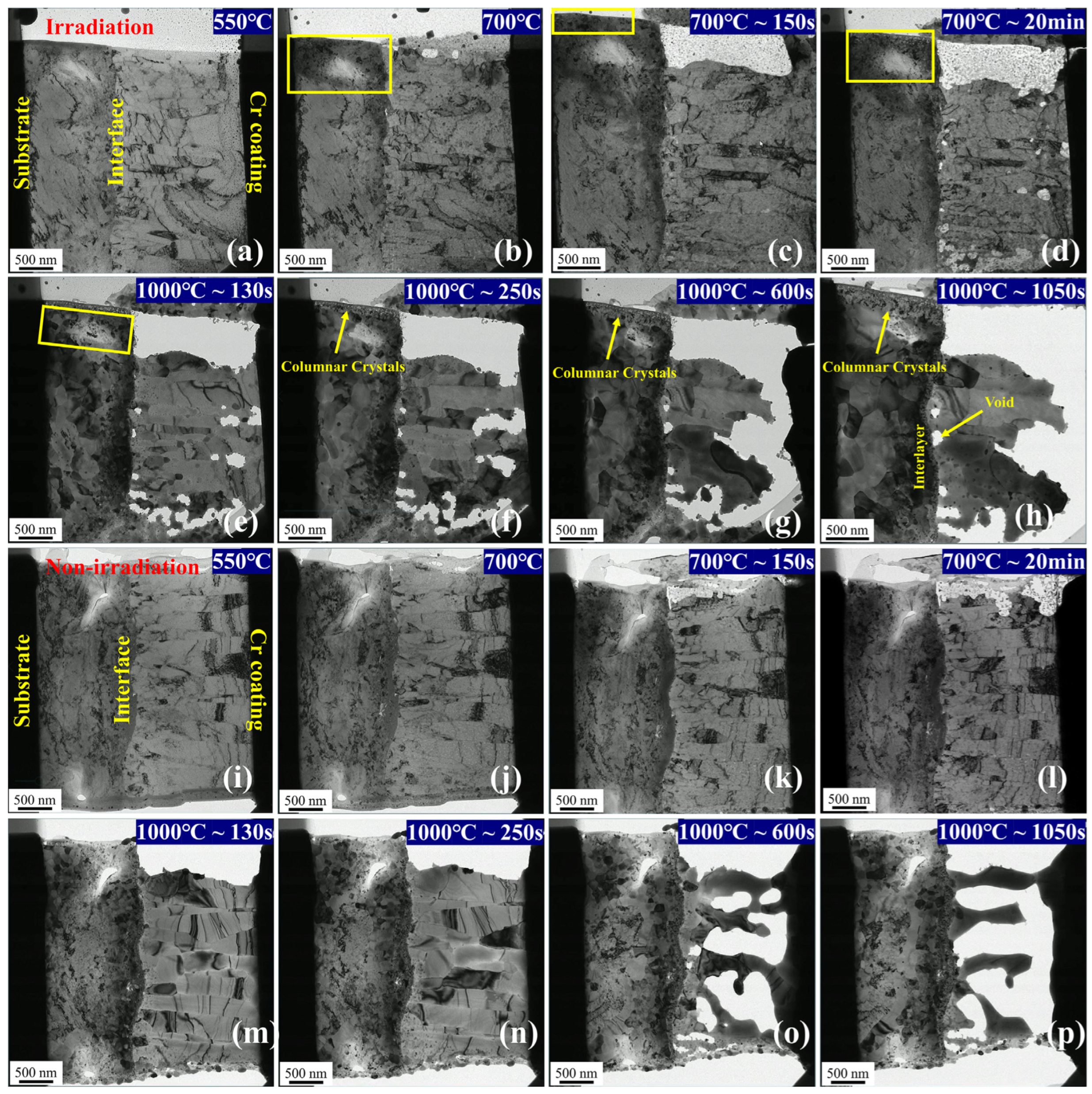 Coatings 13 01655 g007