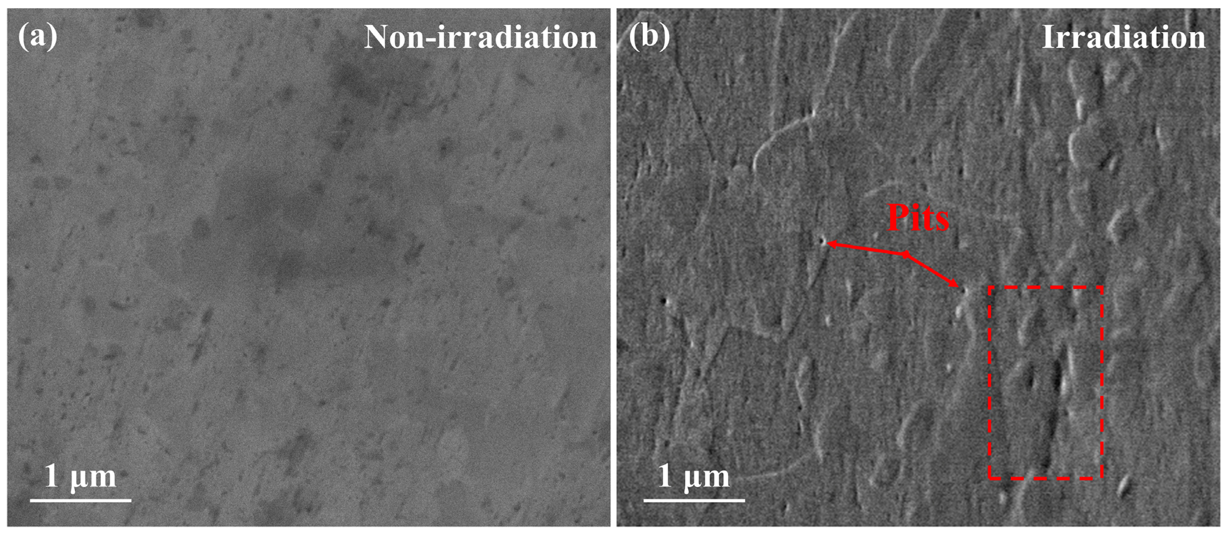 Coatings 13 01655 g008