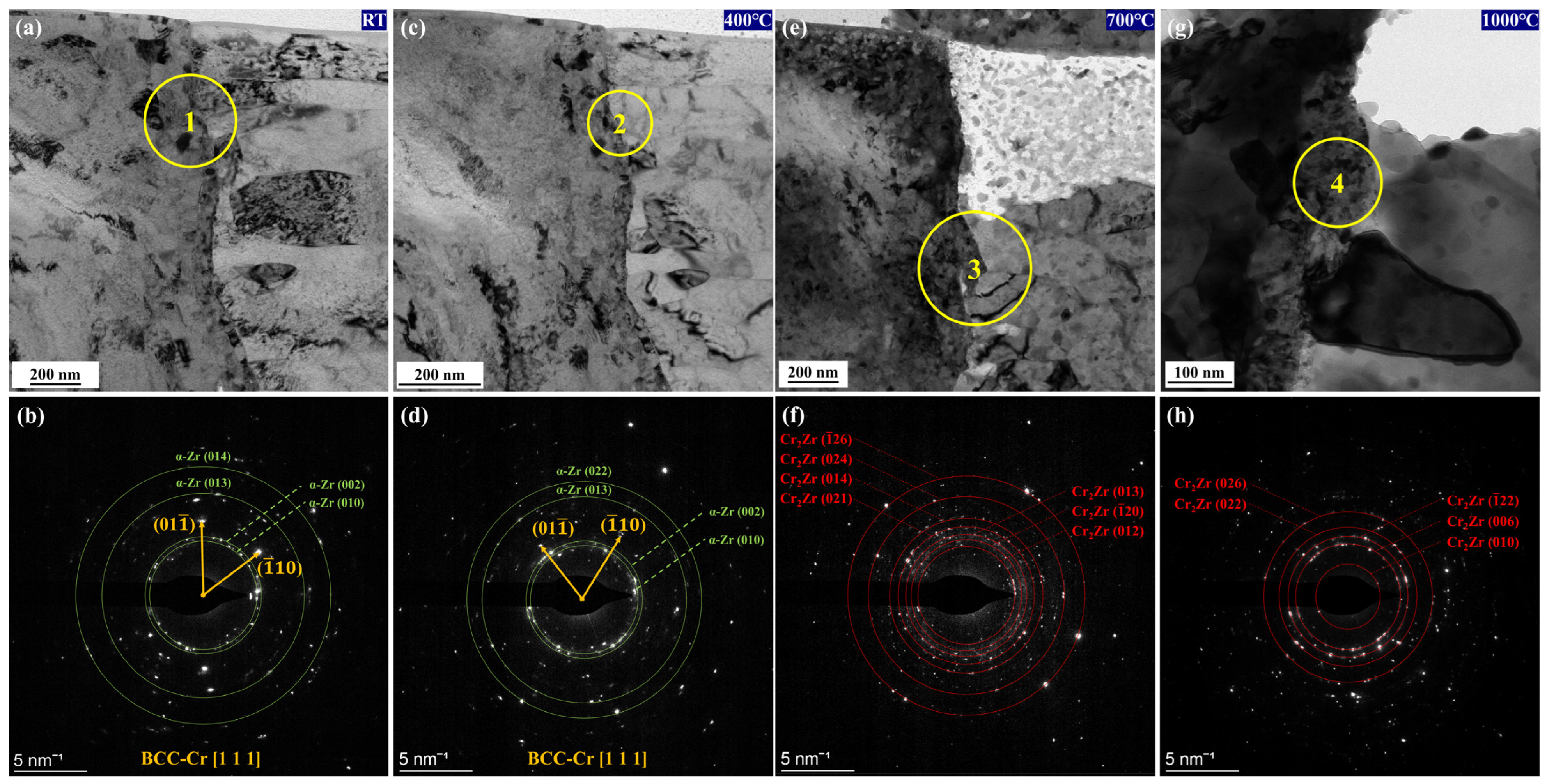 Coatings 13 01655 g011