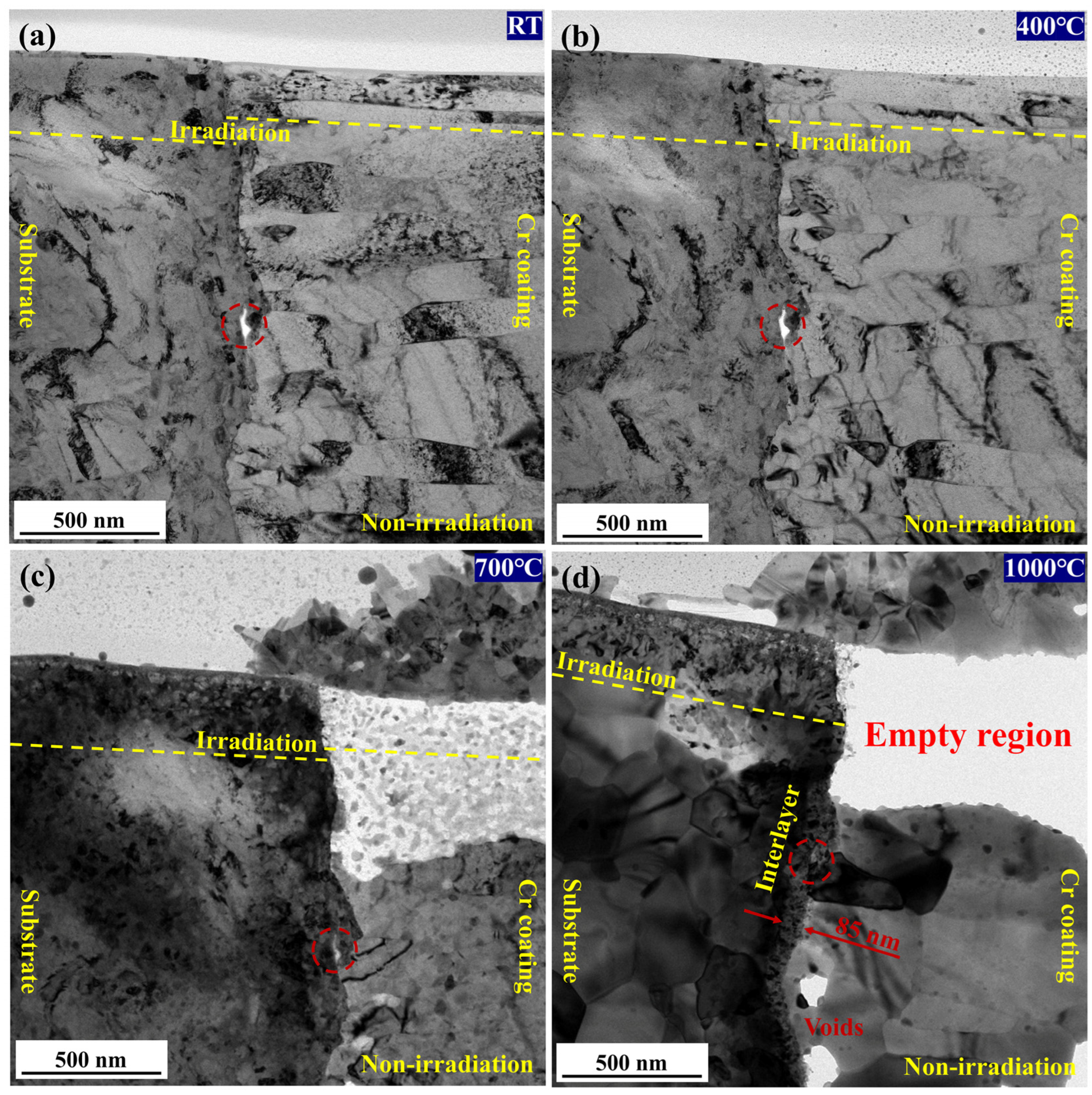 Coatings 13 01655 g012