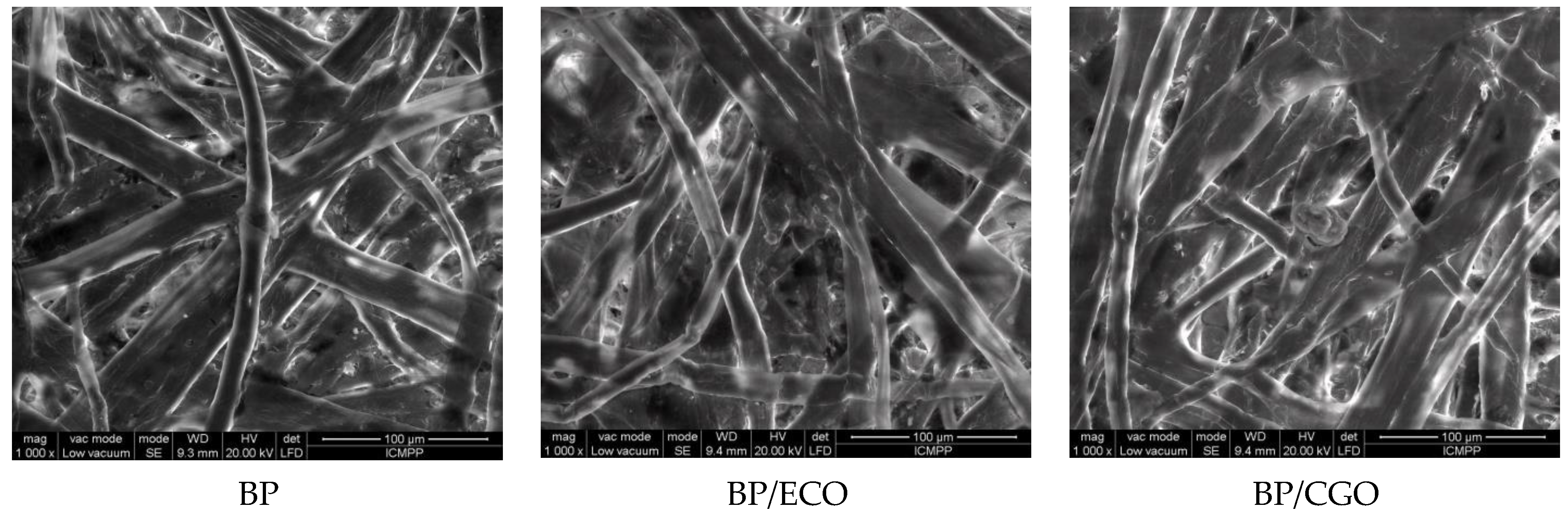 Coatings 13 01658 g002