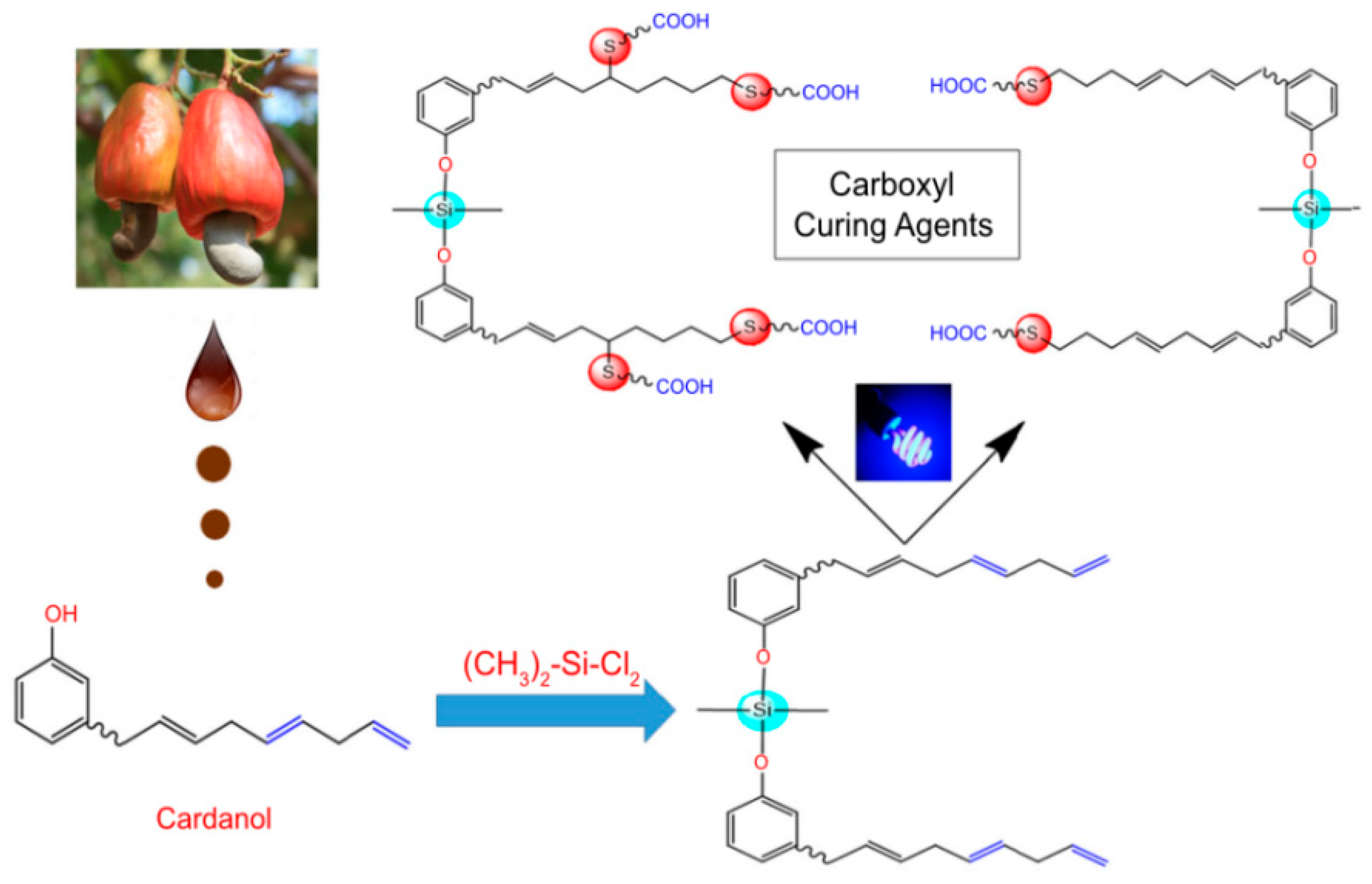 Coatings 13 01663 g016