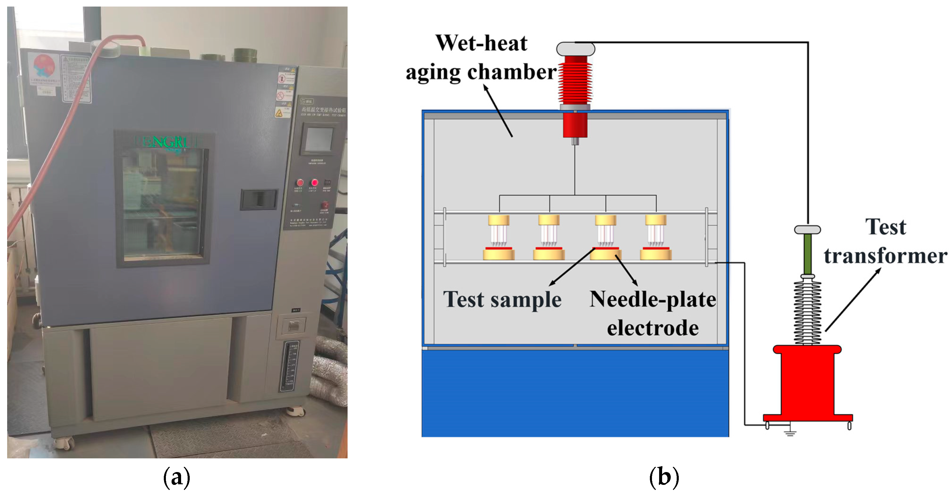 Coatings 13 01668 g002