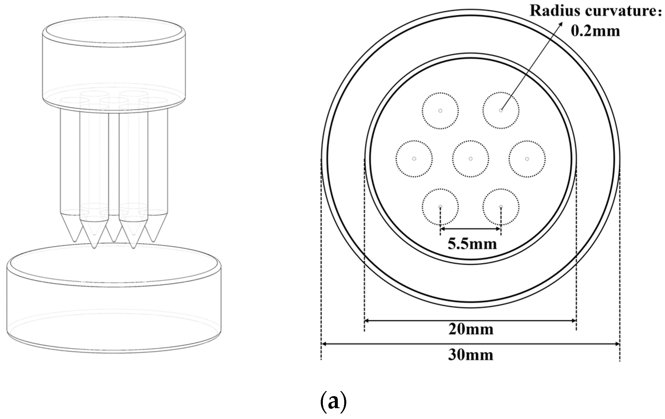 Coatings 13 01668 g003a