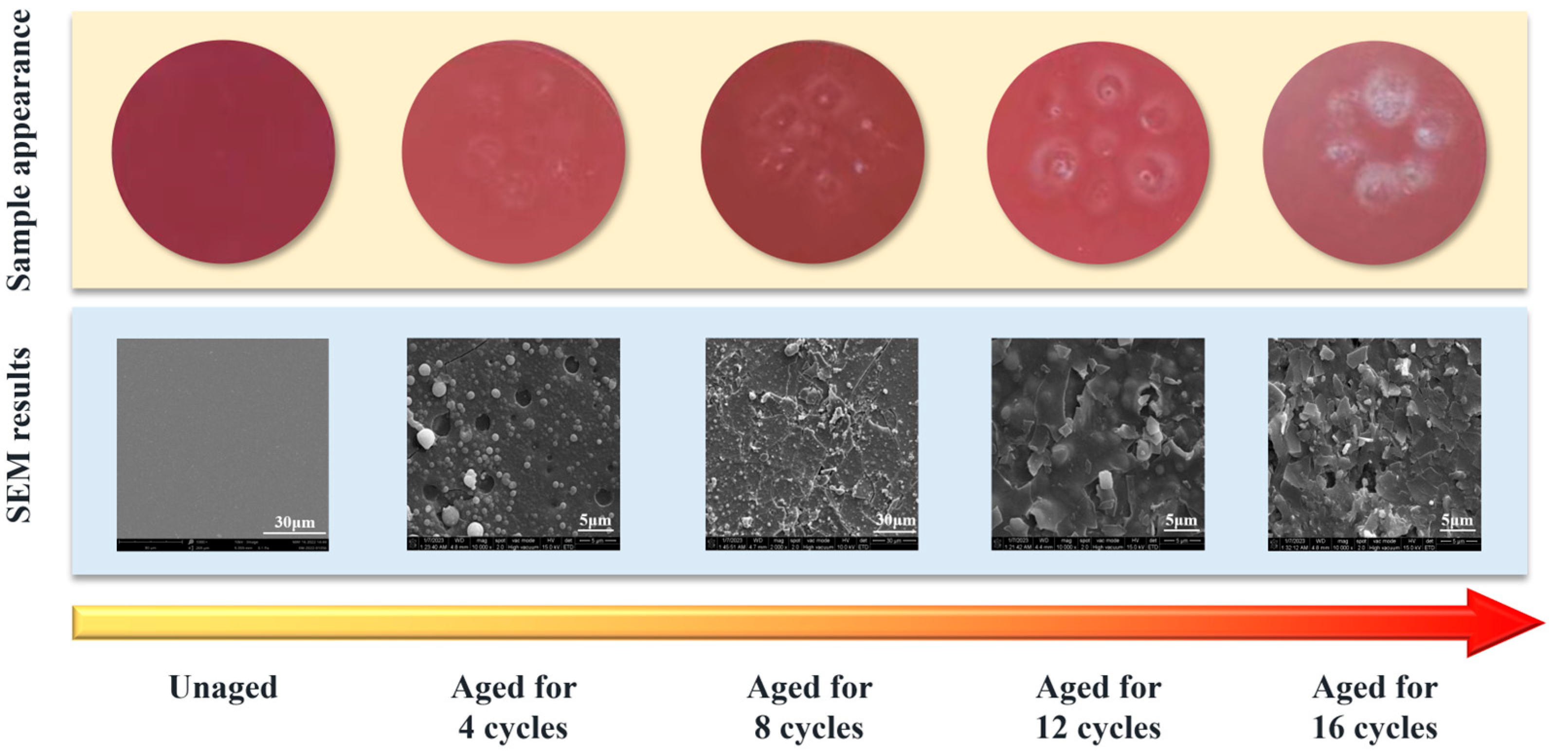 Coatings 13 01668 g006