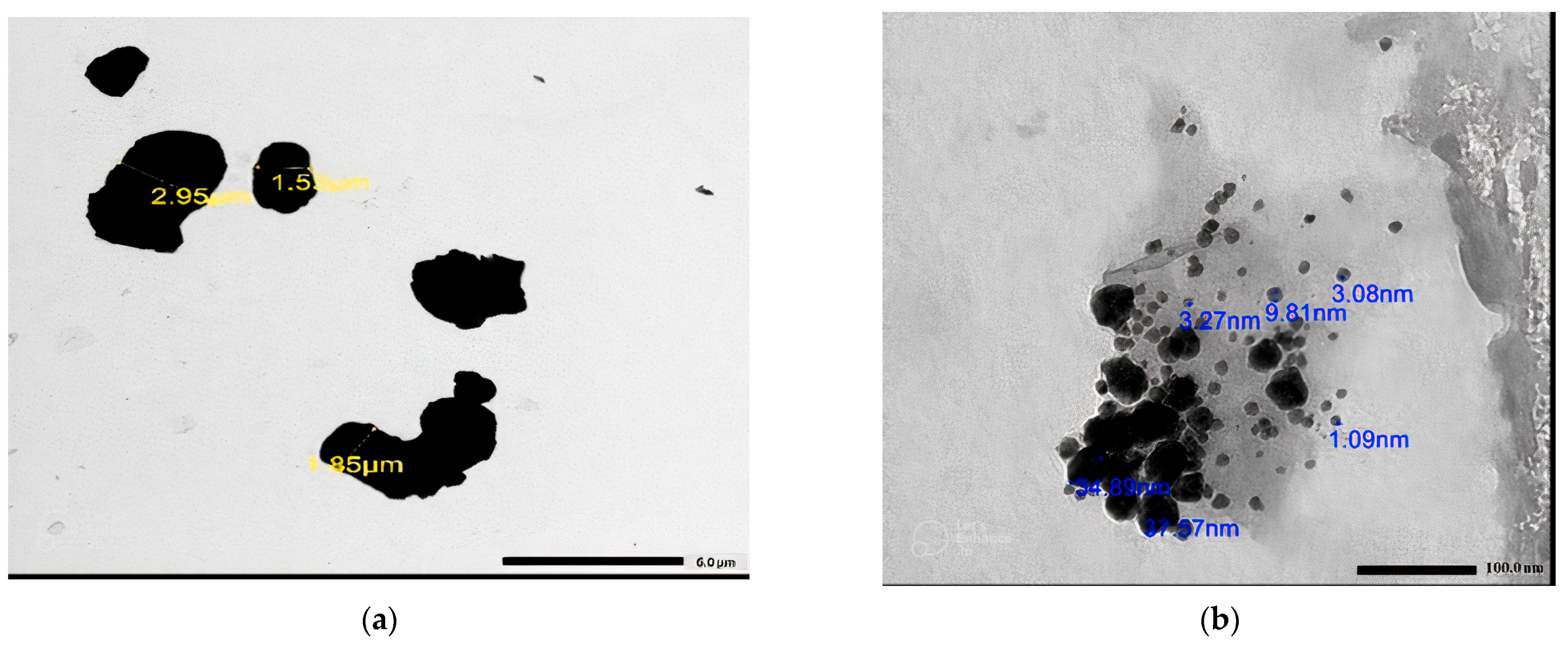 Coatings 13 01670 g003