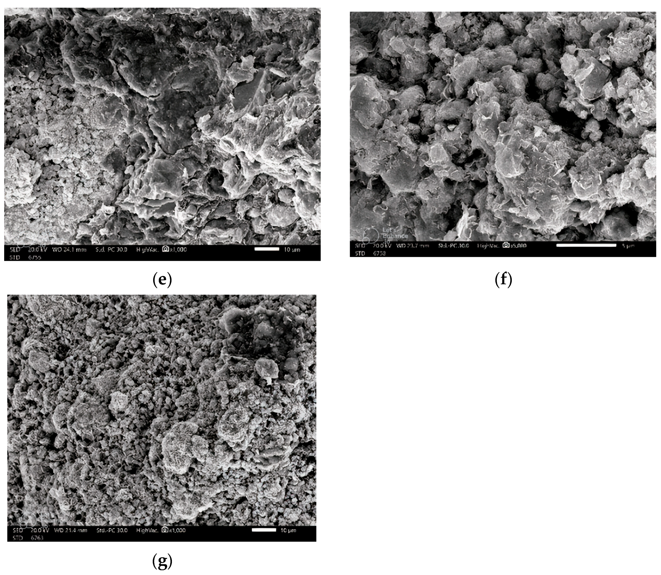 Coatings 13 01670 g004b