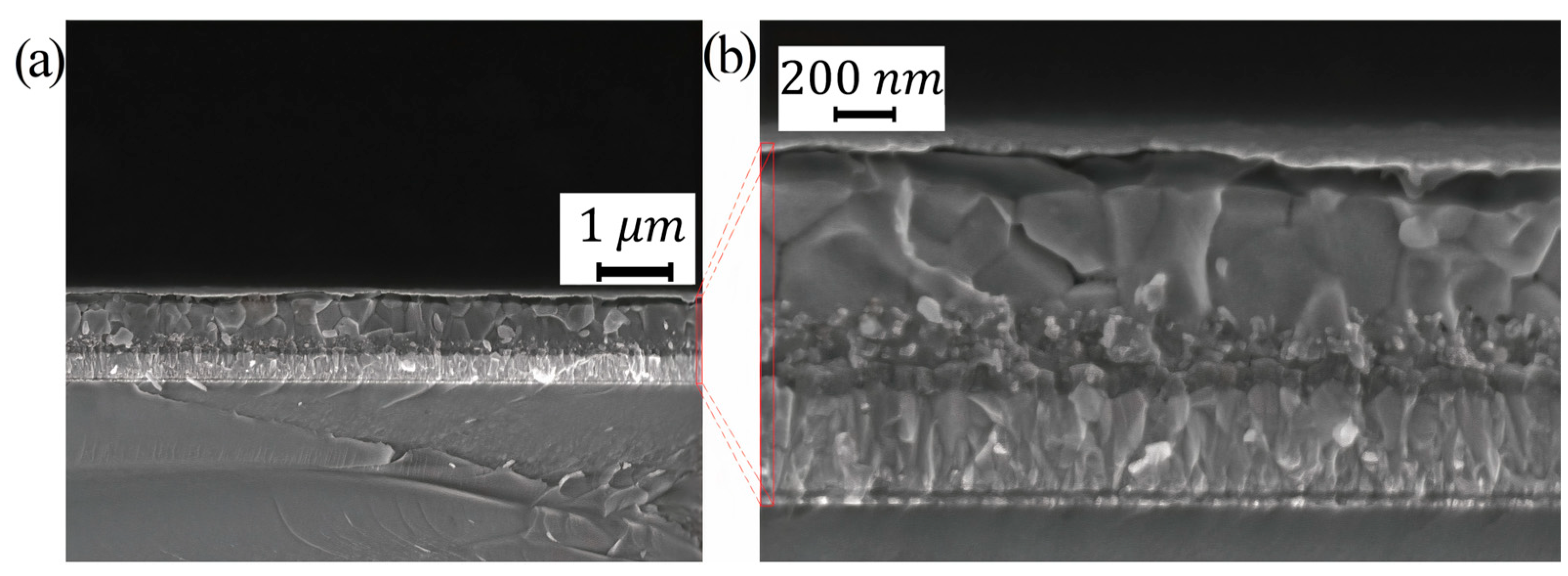 Coatings 13 01673 g003