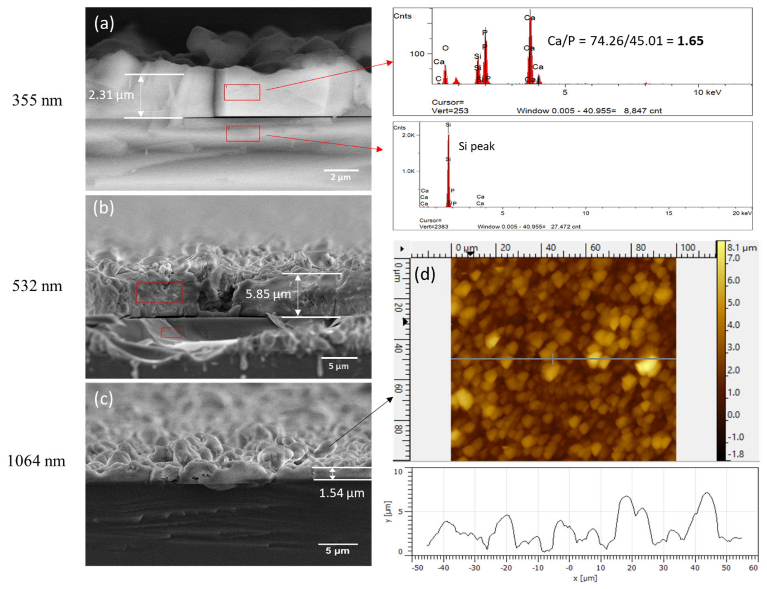 Coatings 13 01681 g003