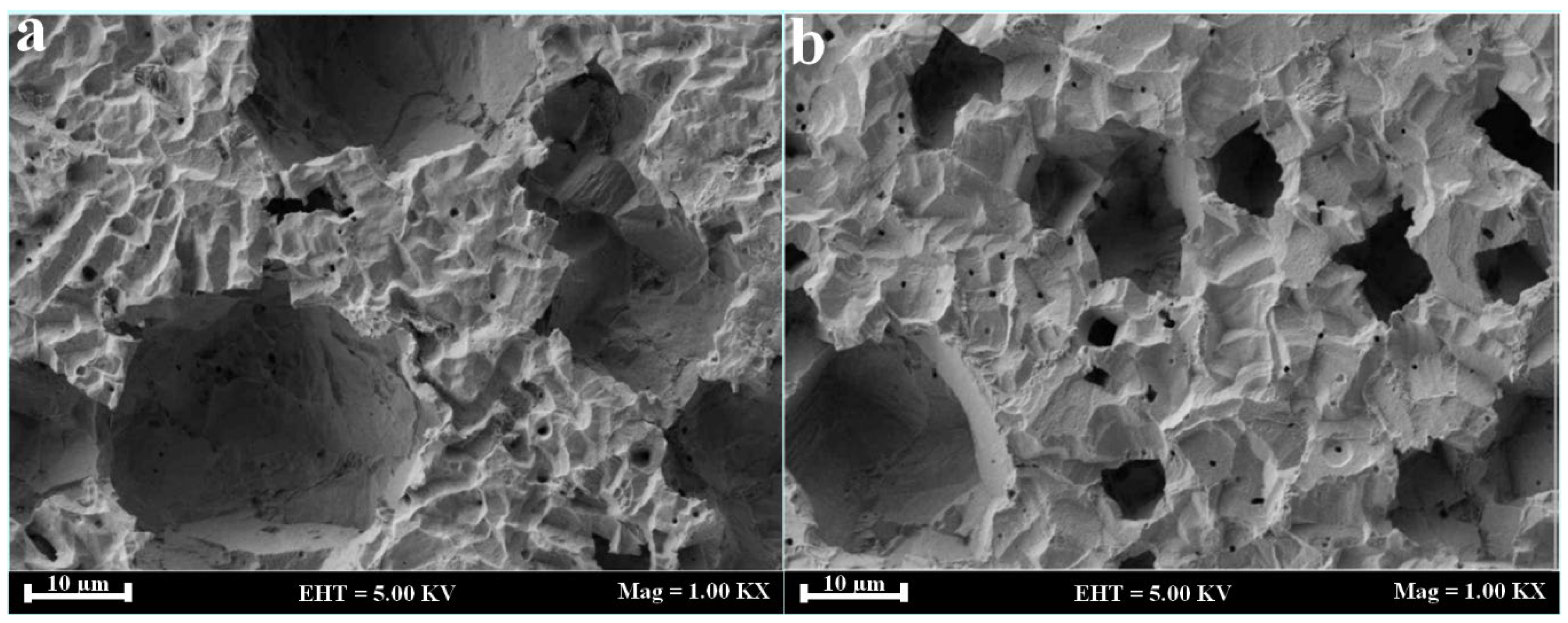 Coatings 13 01683 g002