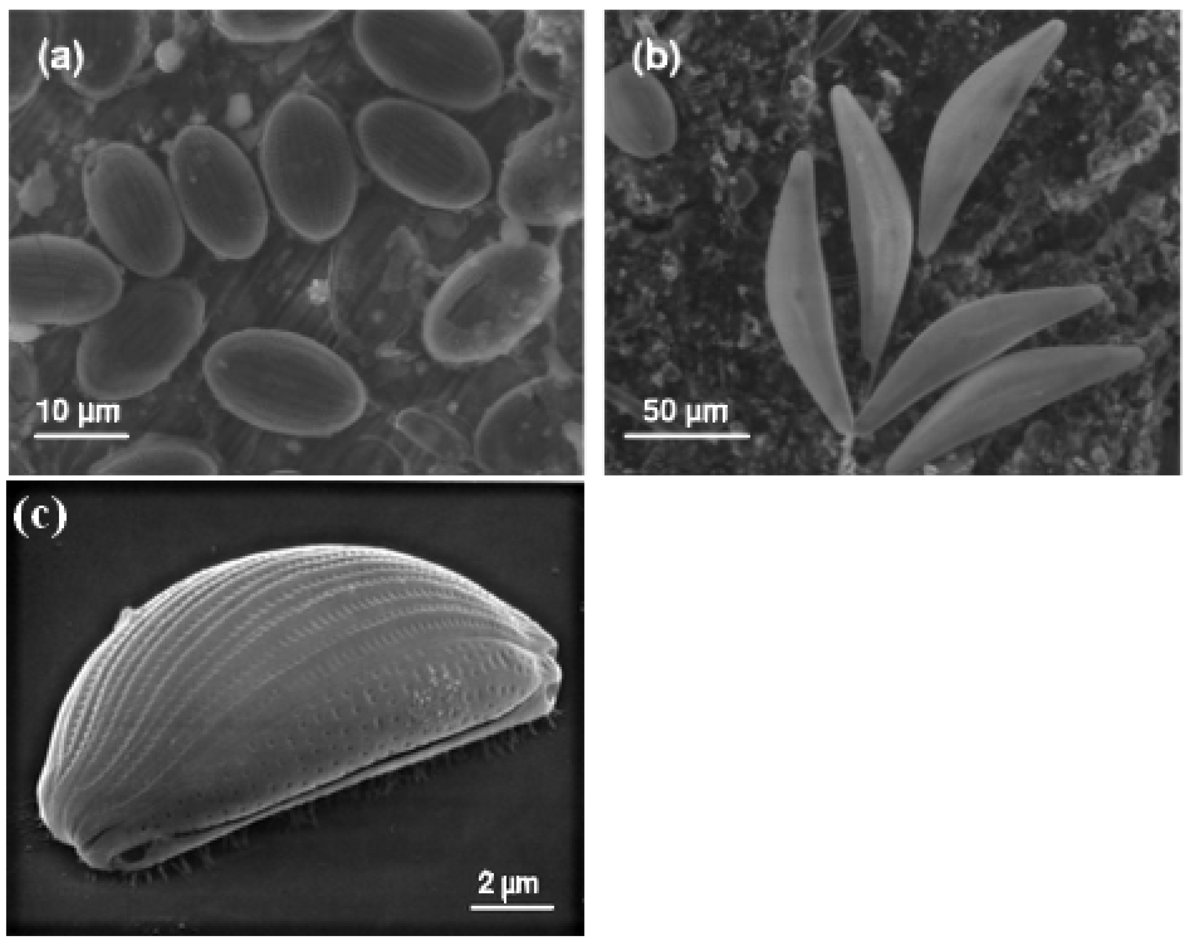 Coatings 13 01683 g003