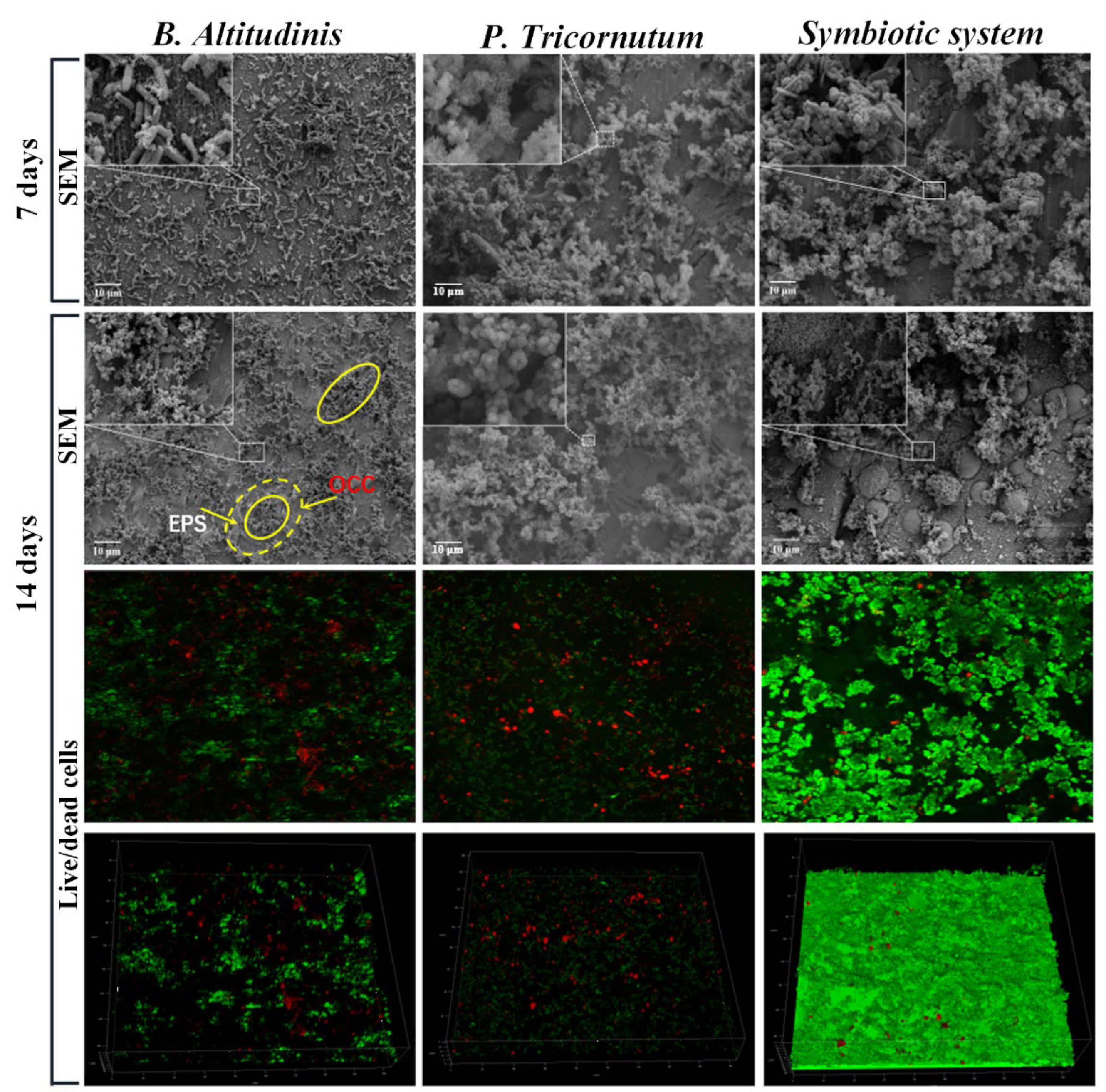 Coatings 13 01683 g004