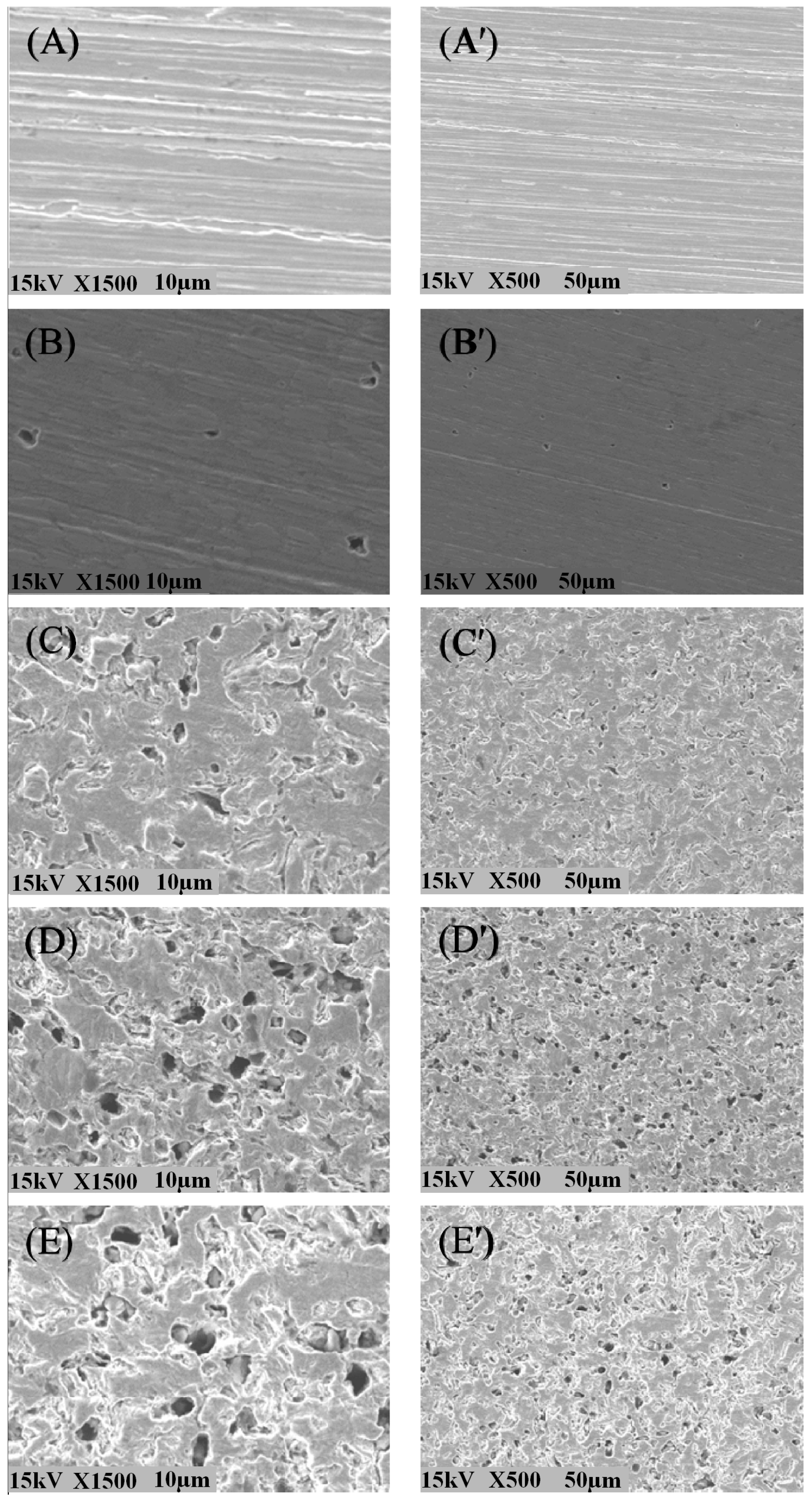 Coatings 13 01683 g005