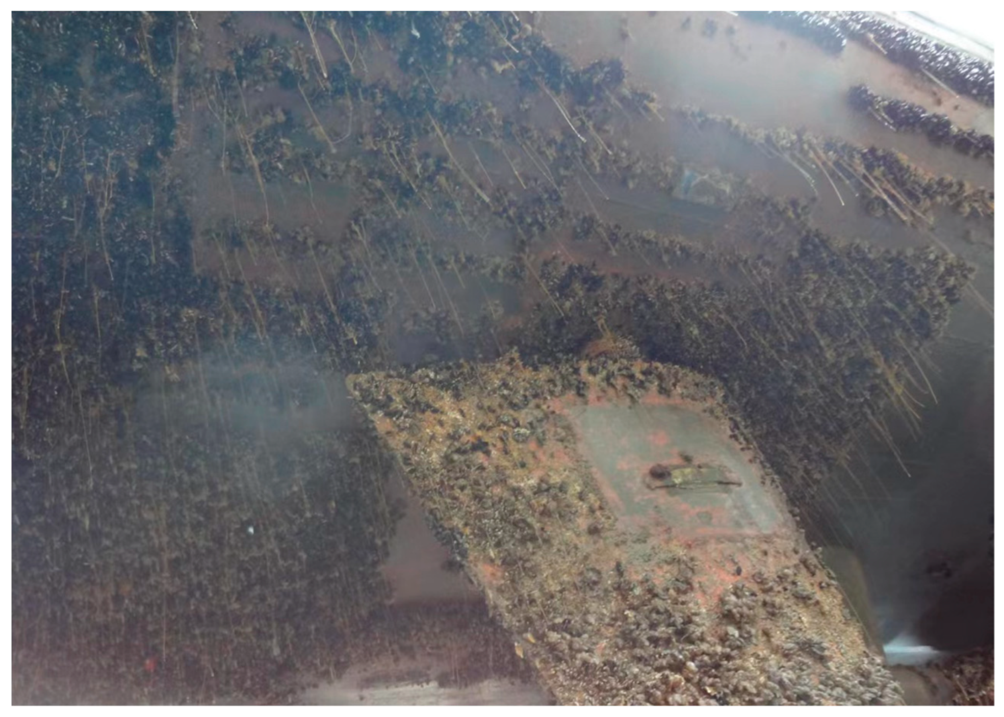 Coatings 13 01685 g001