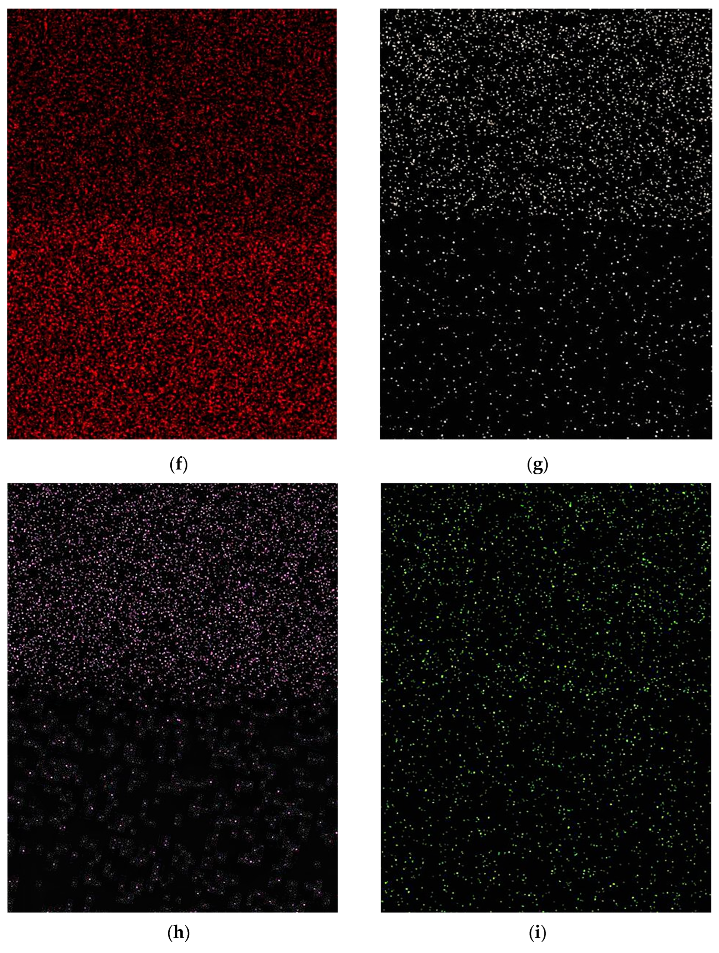 Coatings 13 01687 g004b