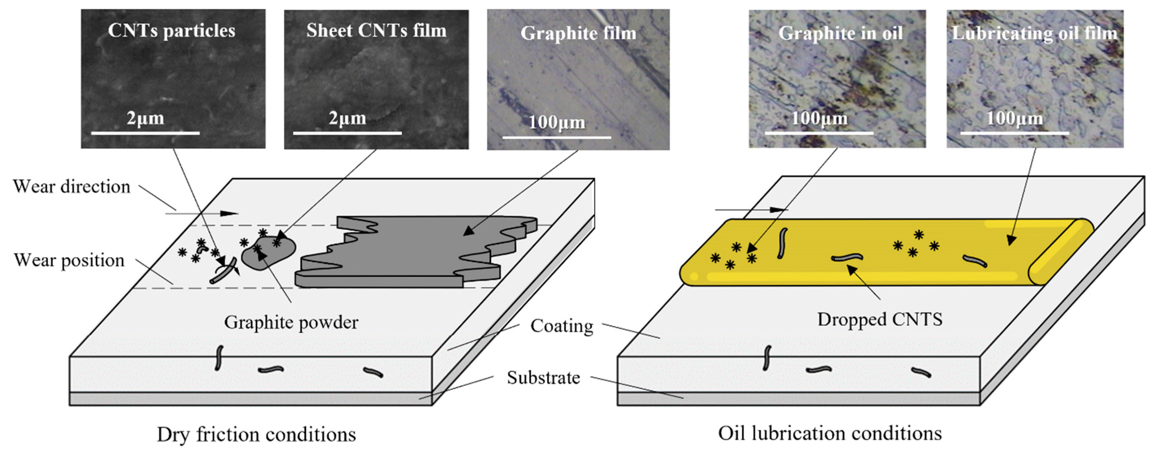 Coatings 13 01692 g010