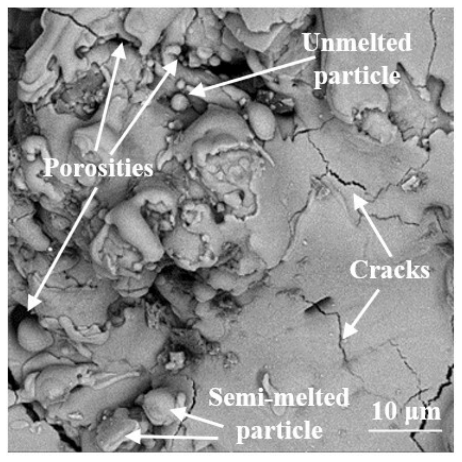Coatings 13 01695 g001