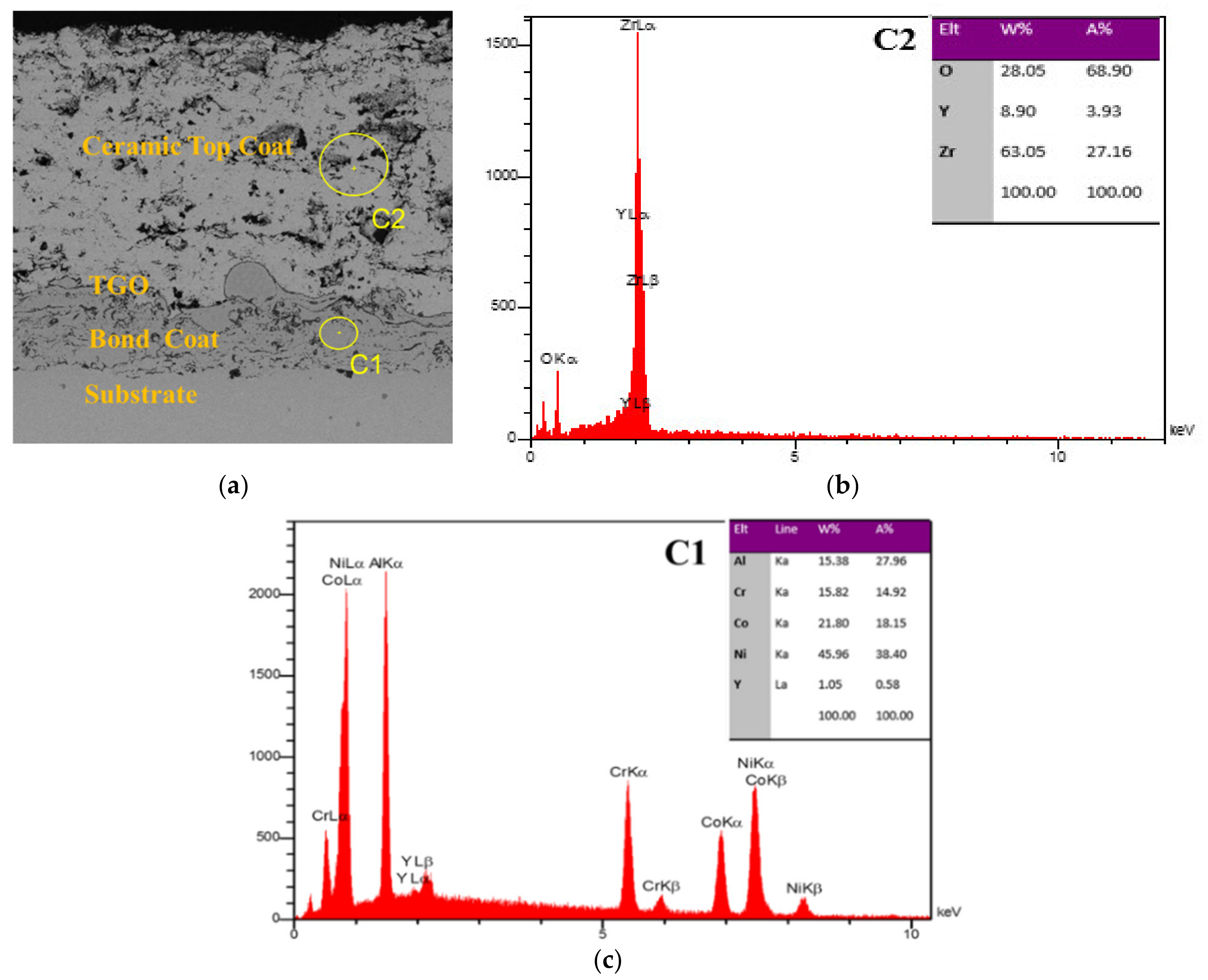Coatings 13 01695 g002
