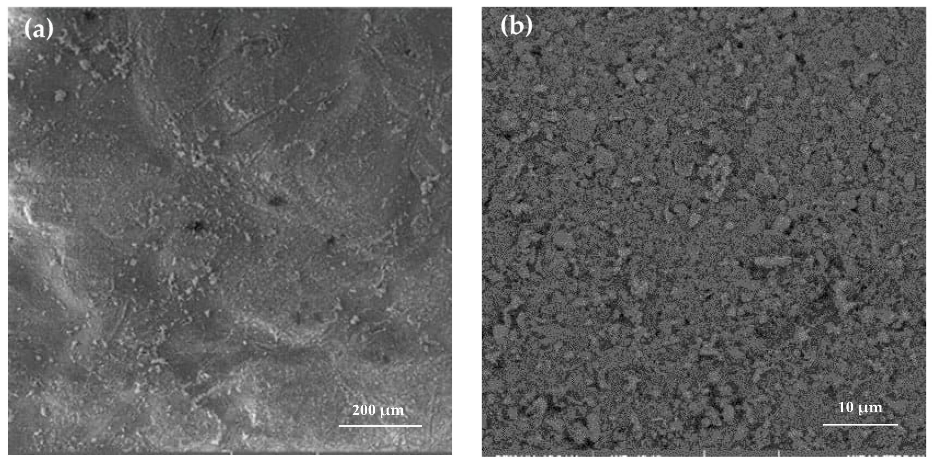 Coatings 13 01695 g003